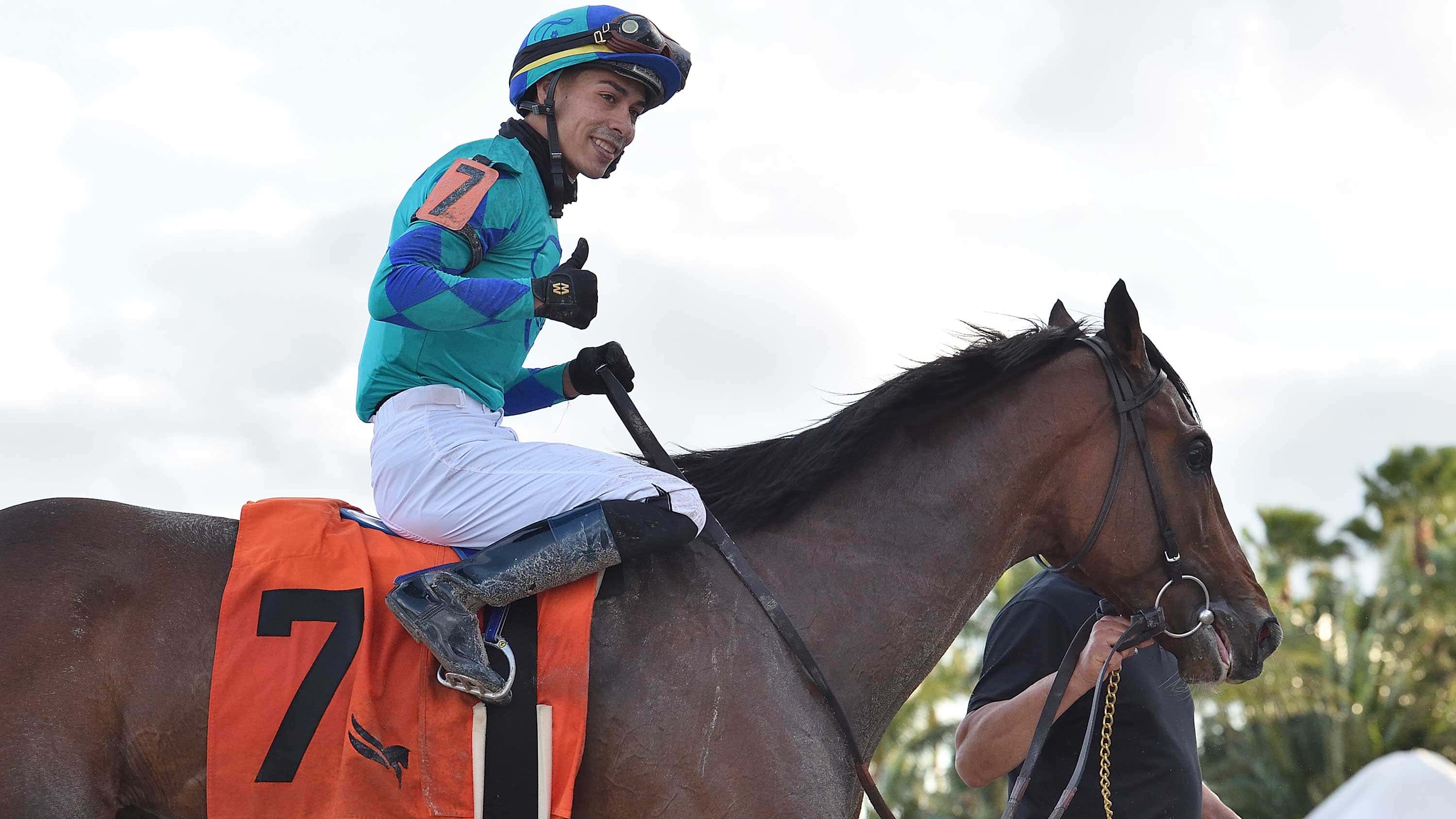 Greatest-Honour-the-Holy-Bull5