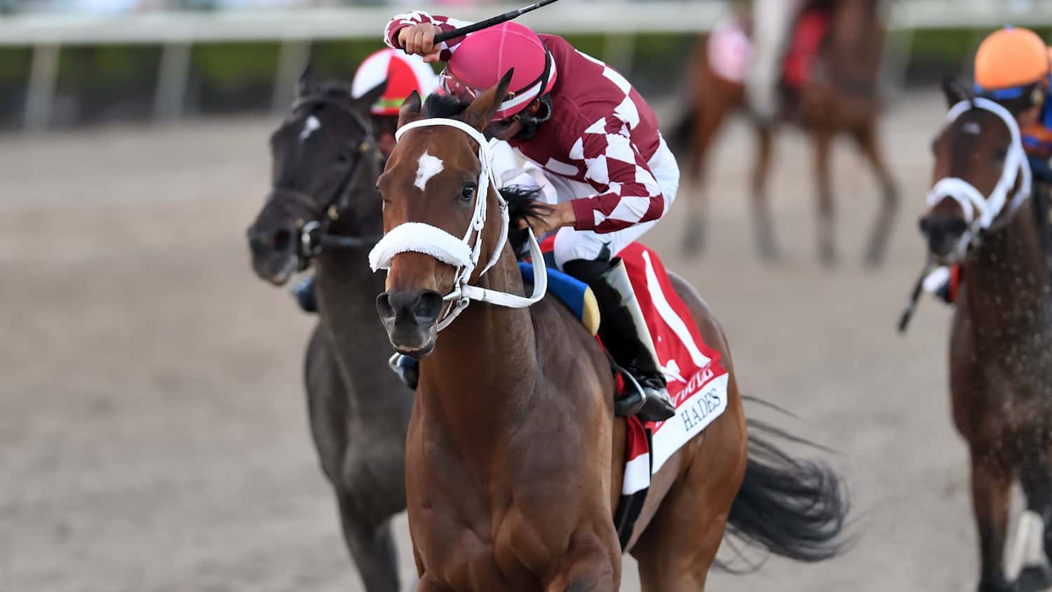 Hades Attempts to Sustain Momentum in Sunshine Classic