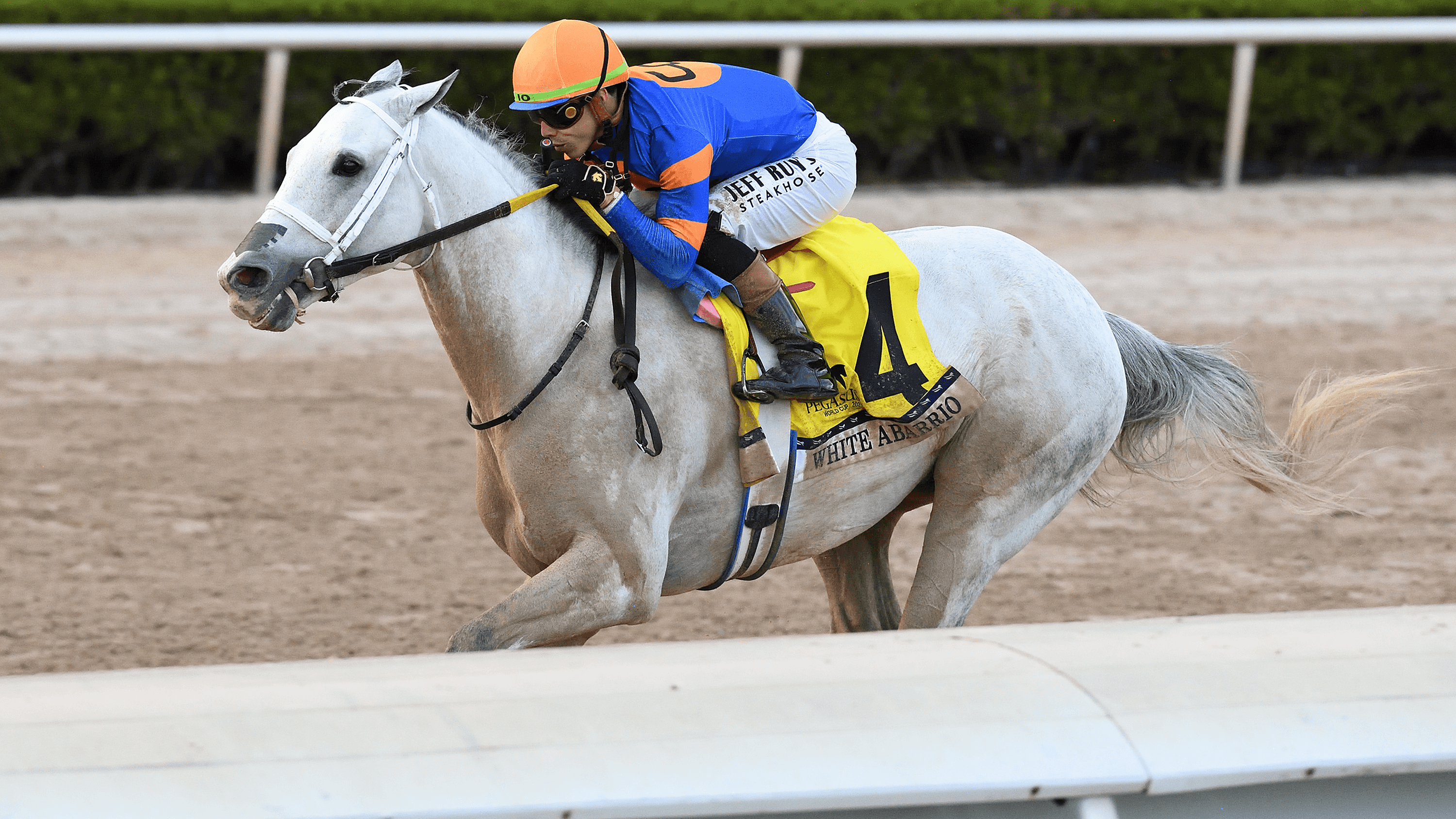 Madaket Road, British Isles Join $3M Pegasus (G1) Lineup