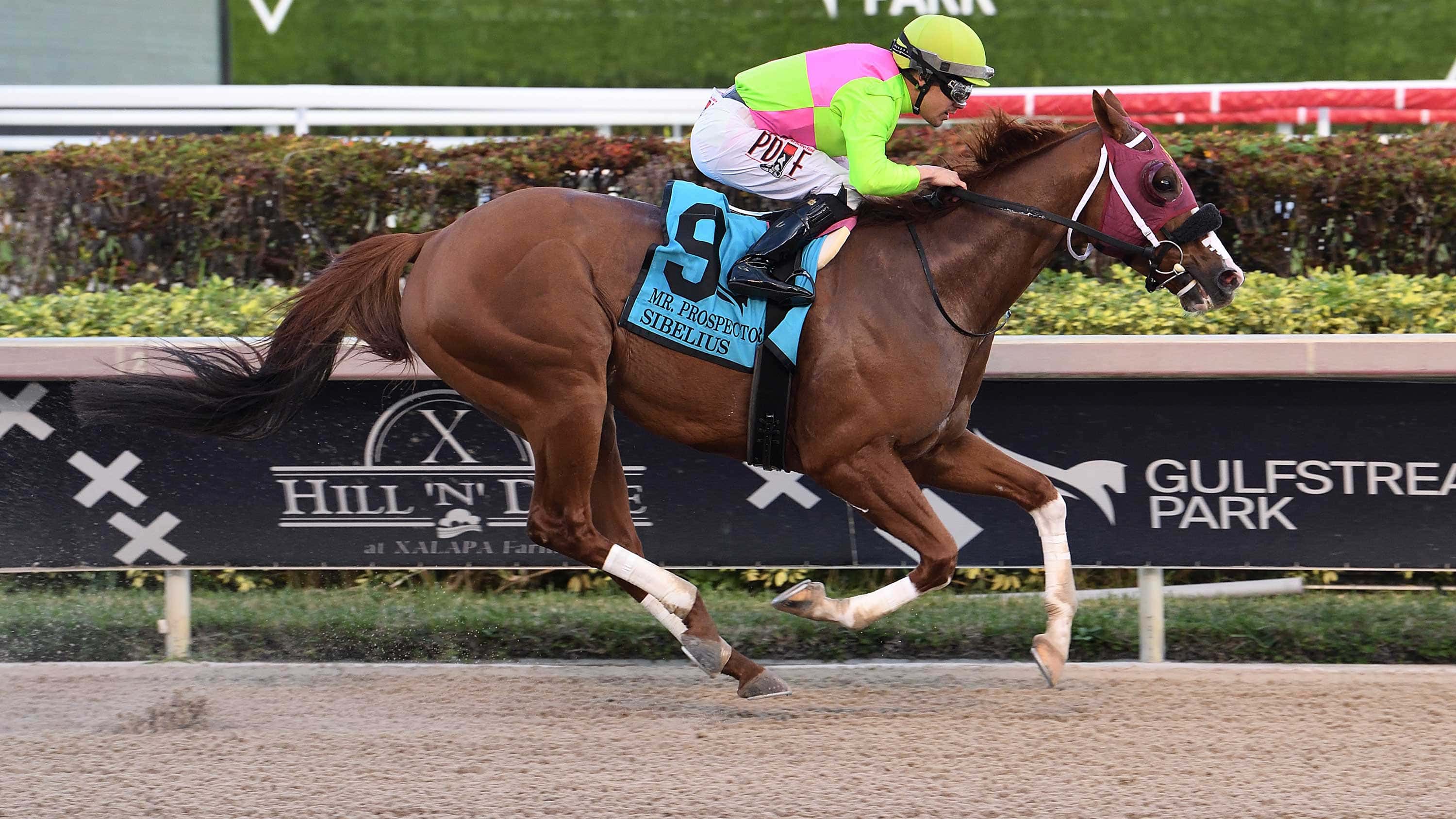 Sibelius-the-Mr-Prospecto-2