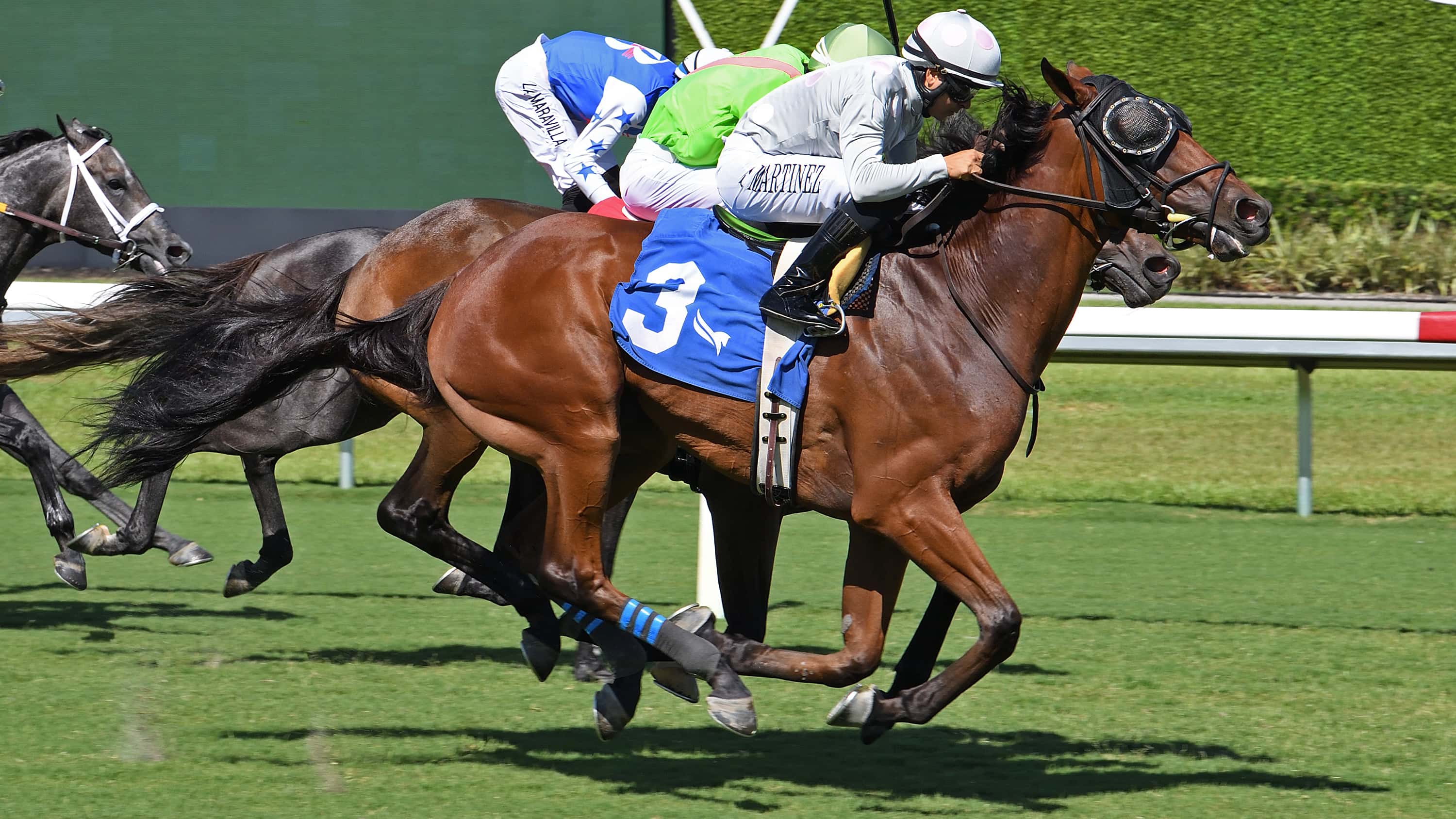 Layabout-The-Bears-Den