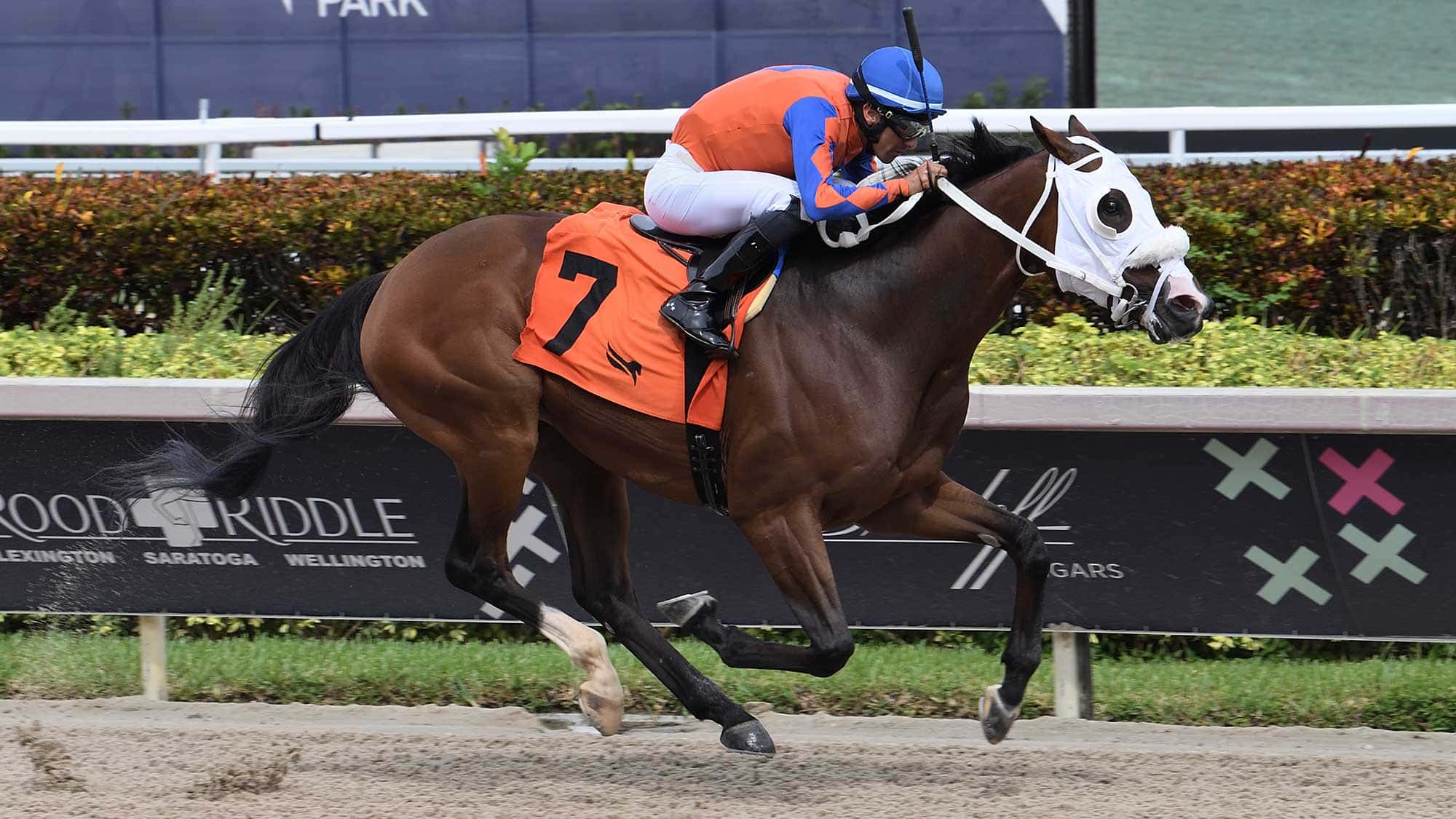 Big-and-Classy-the-Jackson-Bend2