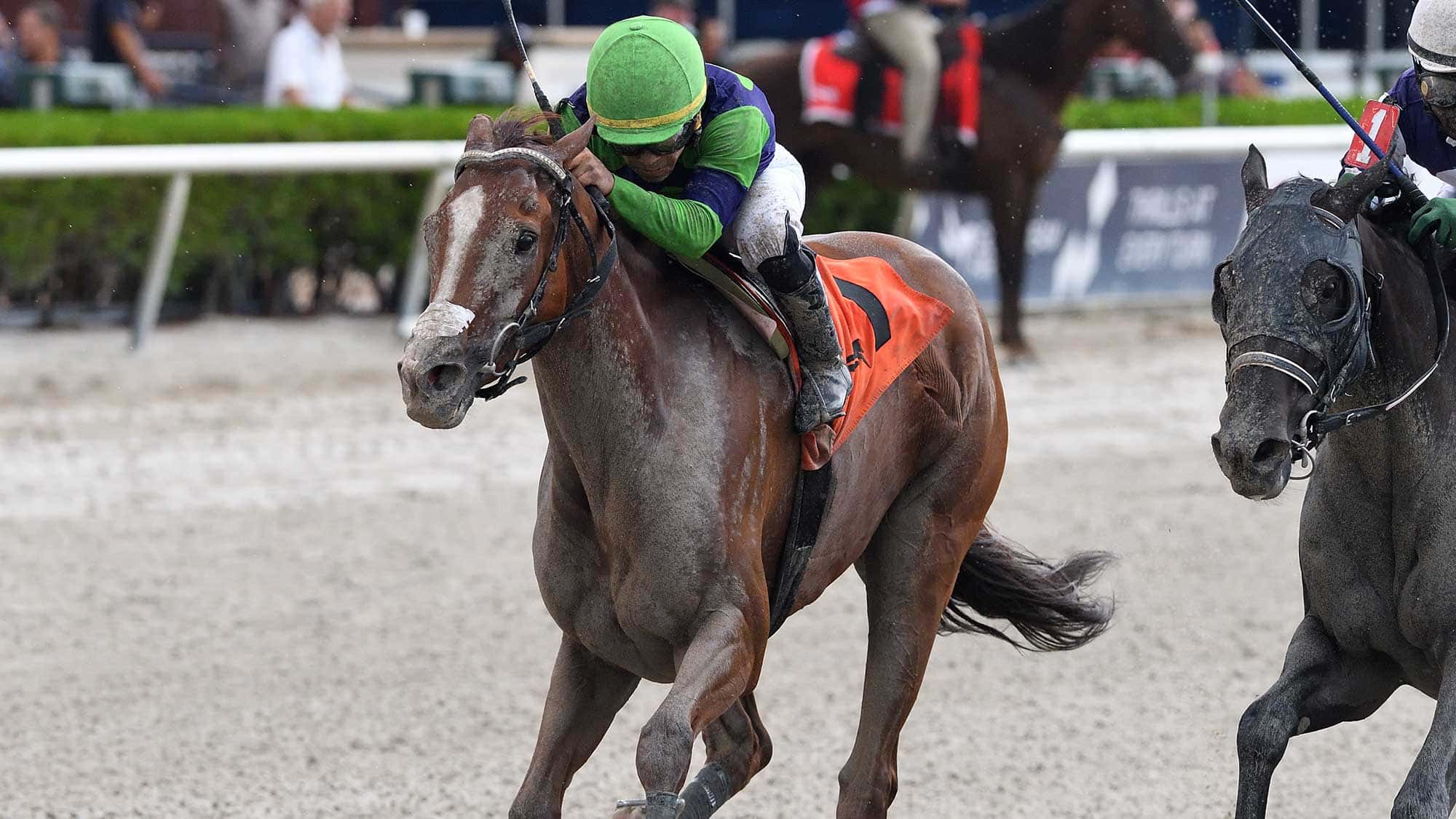 Dont-Get-Khozy-the-Surfside