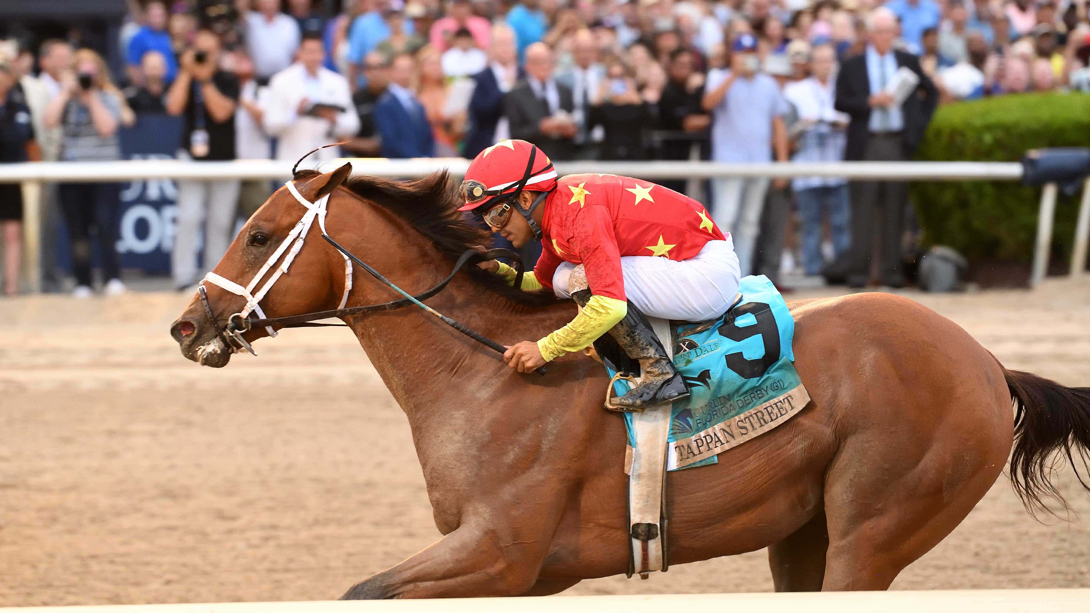 Tappan Street Propels Forward in G1 Curlin Florida Derby