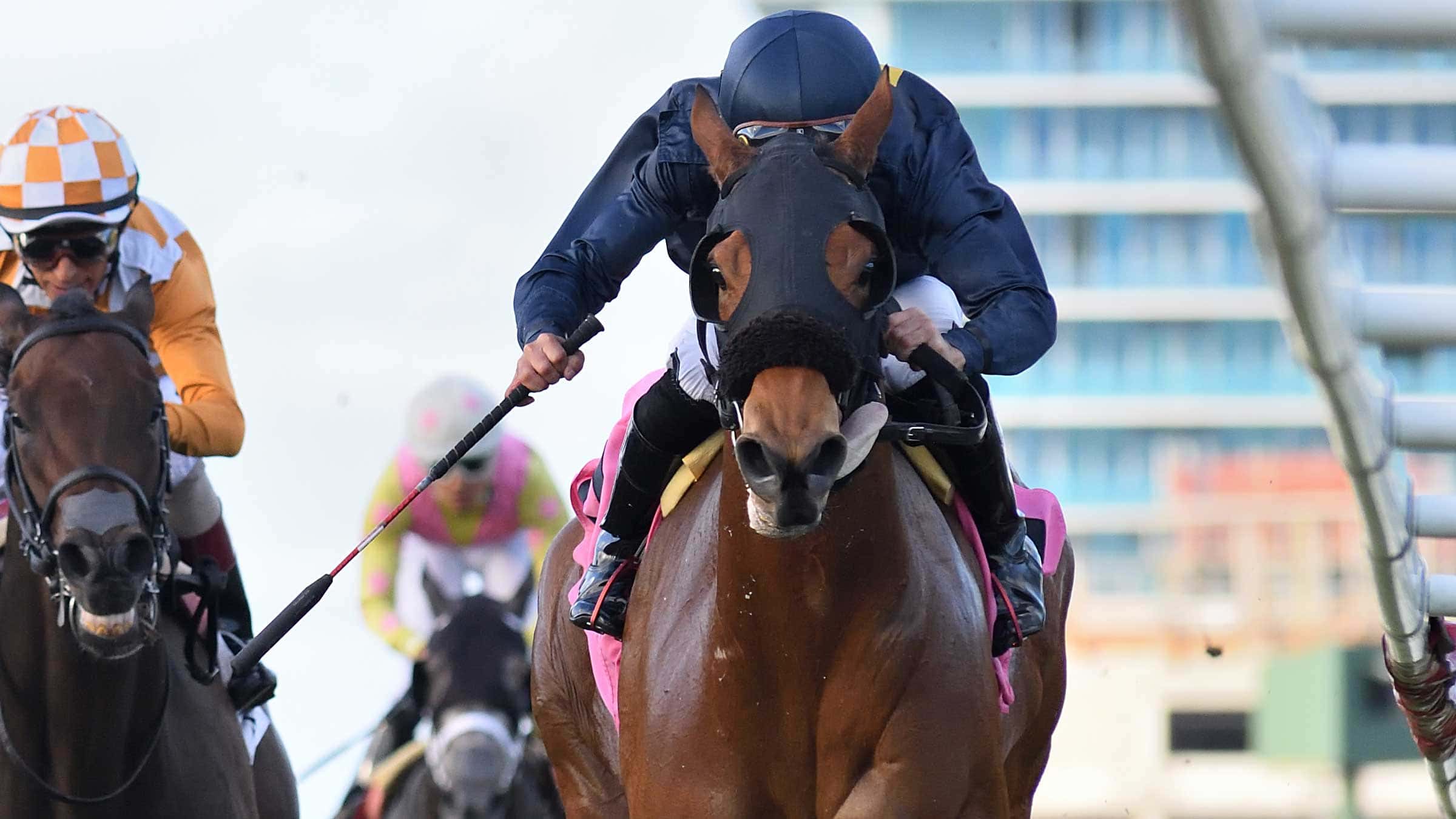 Eponas-Hope-the-Ladies-Turf-Sprint3