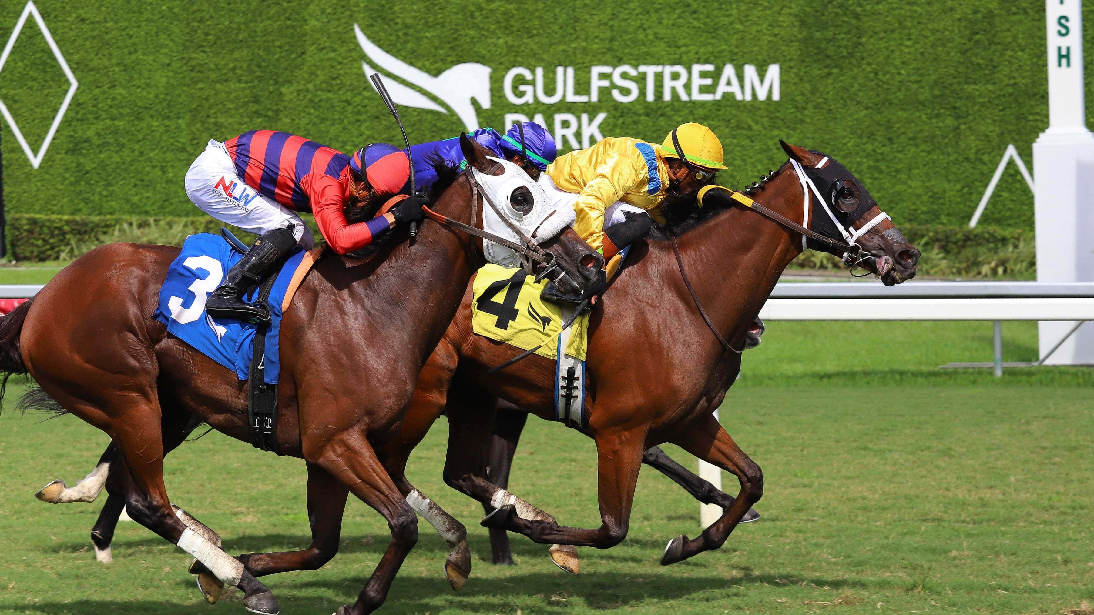 El francés Divin Propos se alza con la victoria en “The Mambo Meister Handicap”