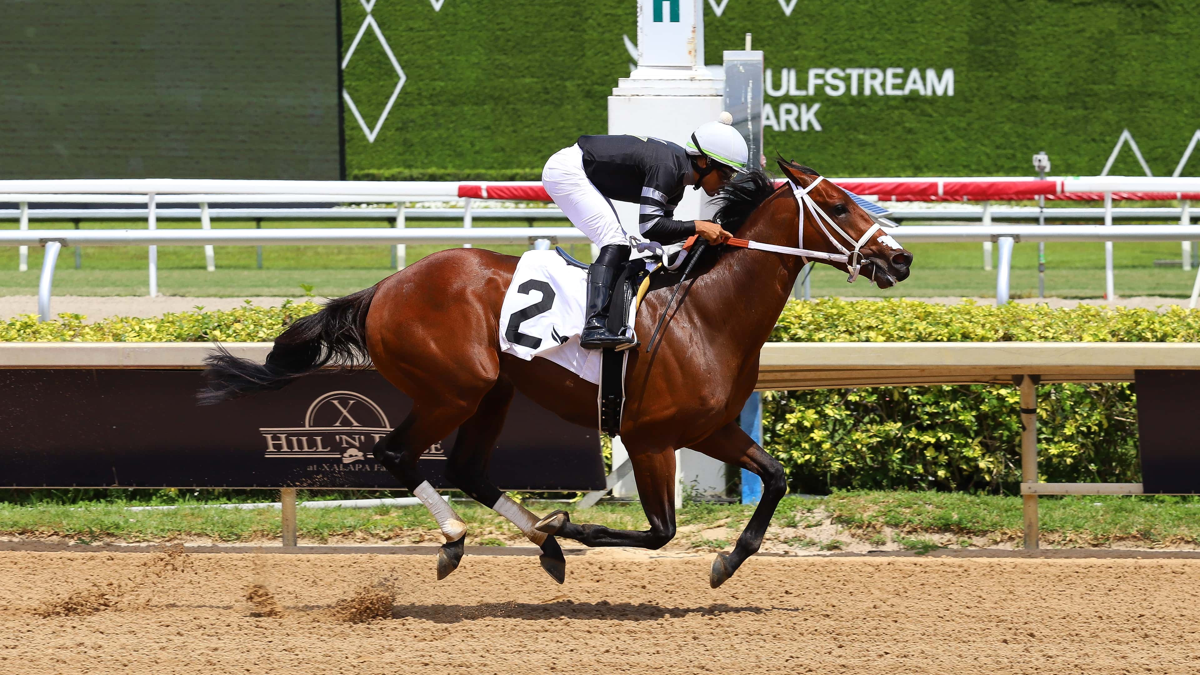 One Hundred Kings busca imponer su ley en el Carry Back
