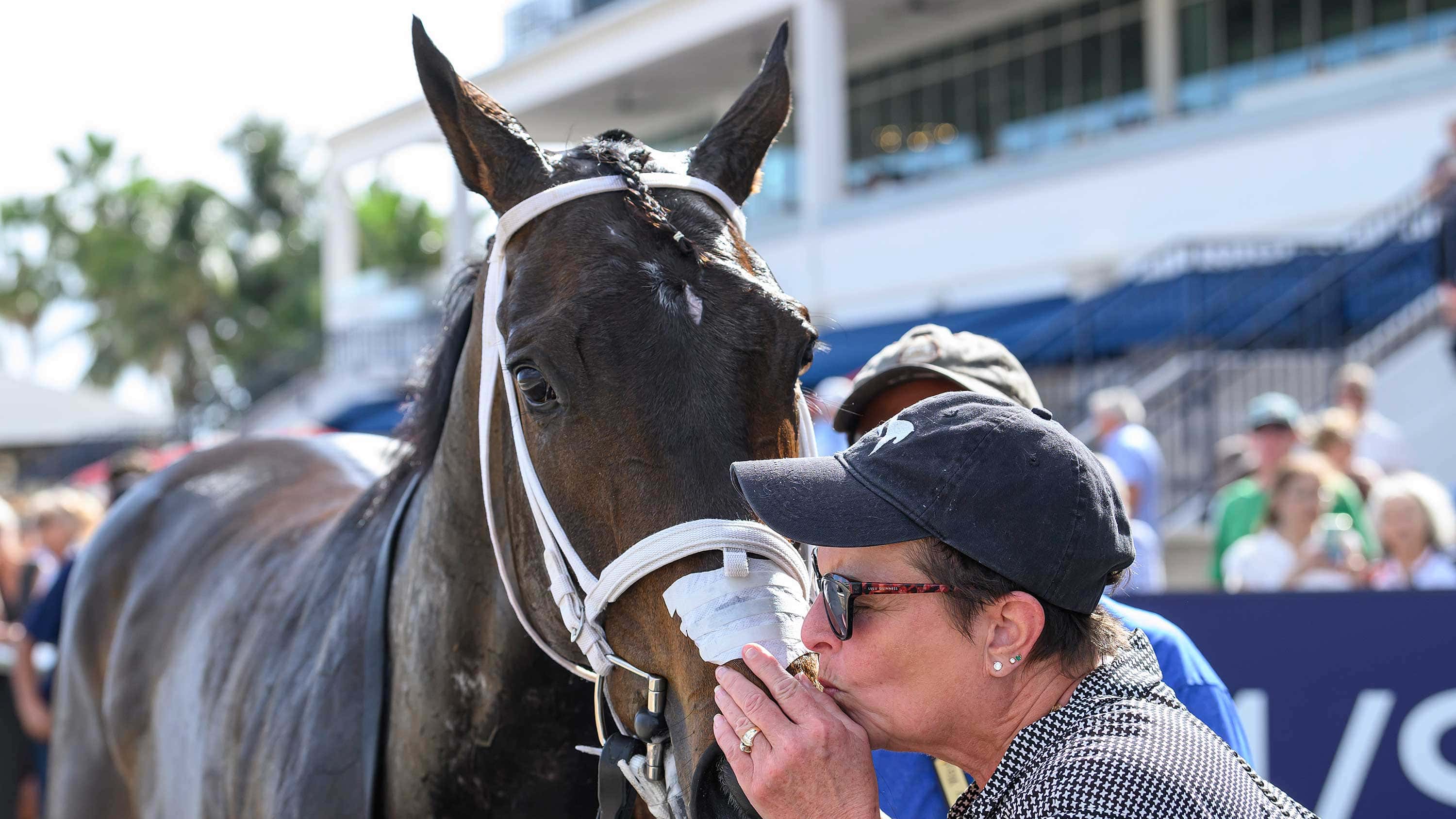 Lynns-Milky-Way-Lynn-Smith