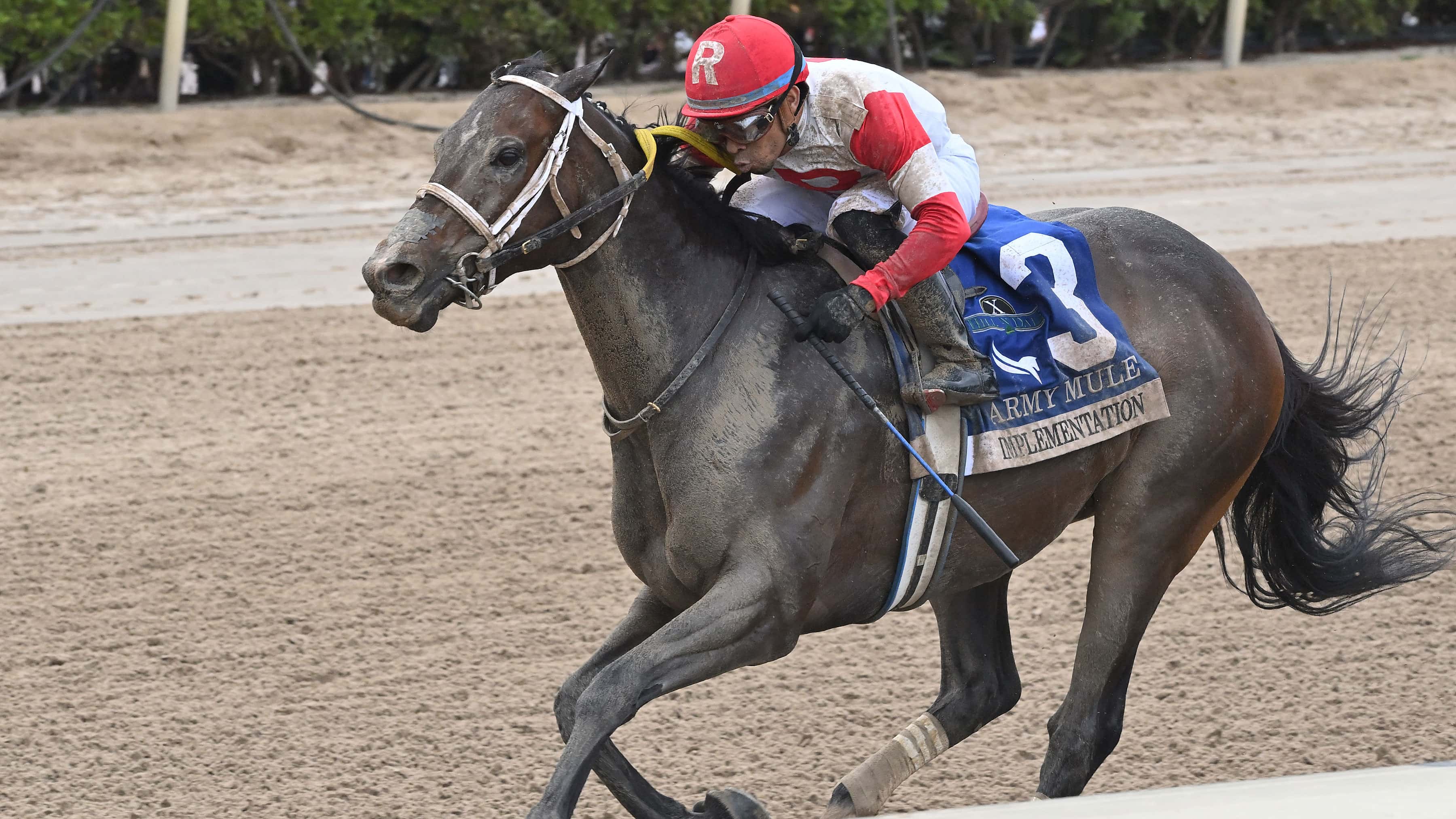 Implementation-the-Army-Mule