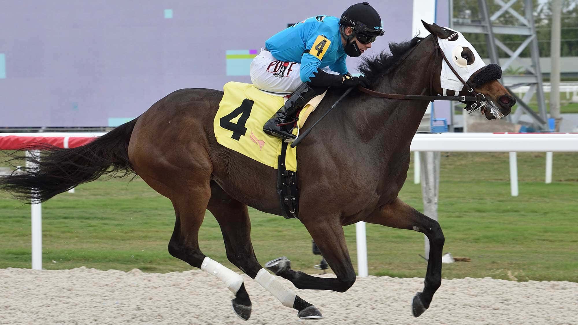 Lure-Him-In-the-Sunshine-Turf