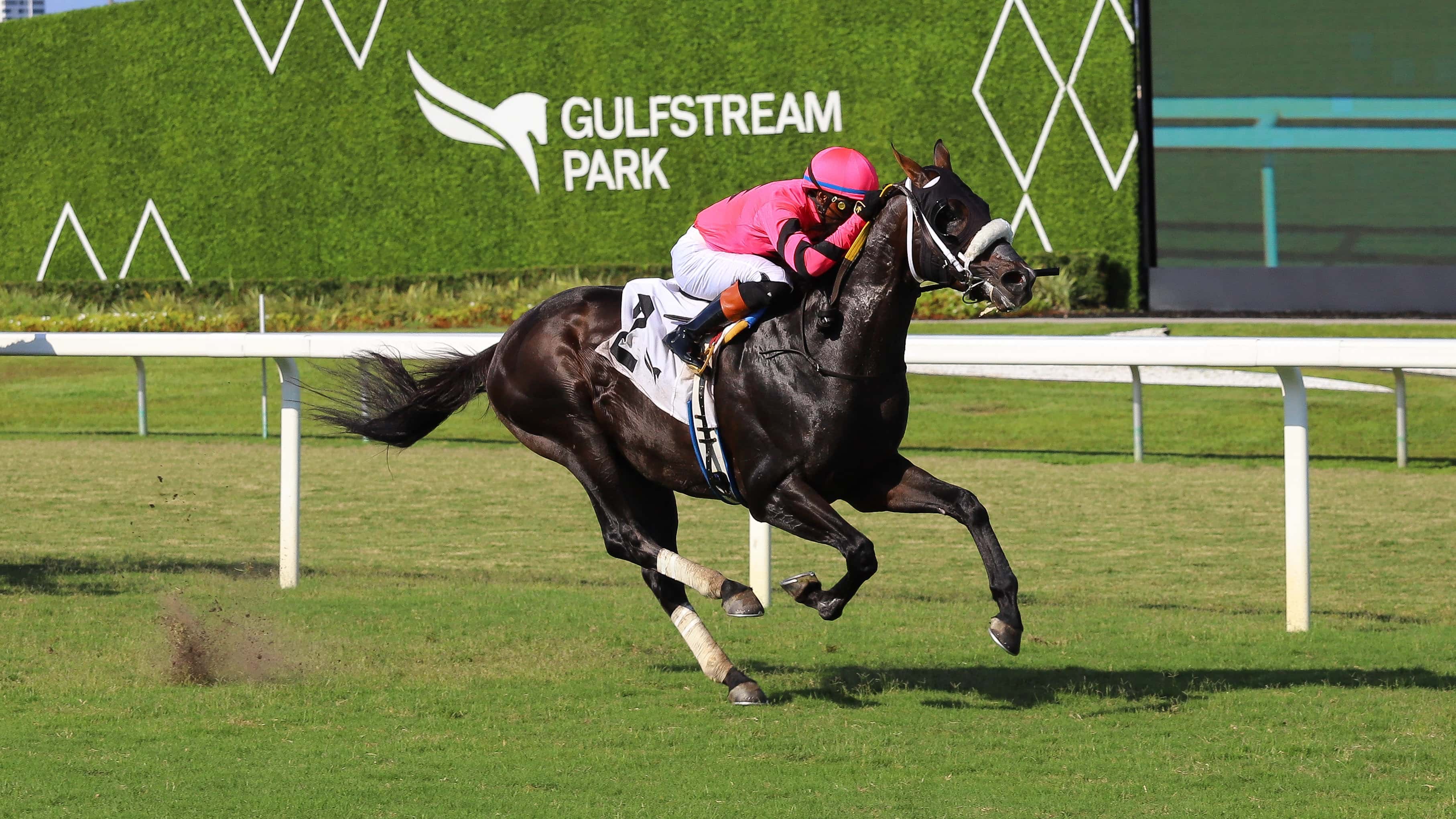 El chileno Gran Oriente fue superior en “The Mr. Steele Stakes”