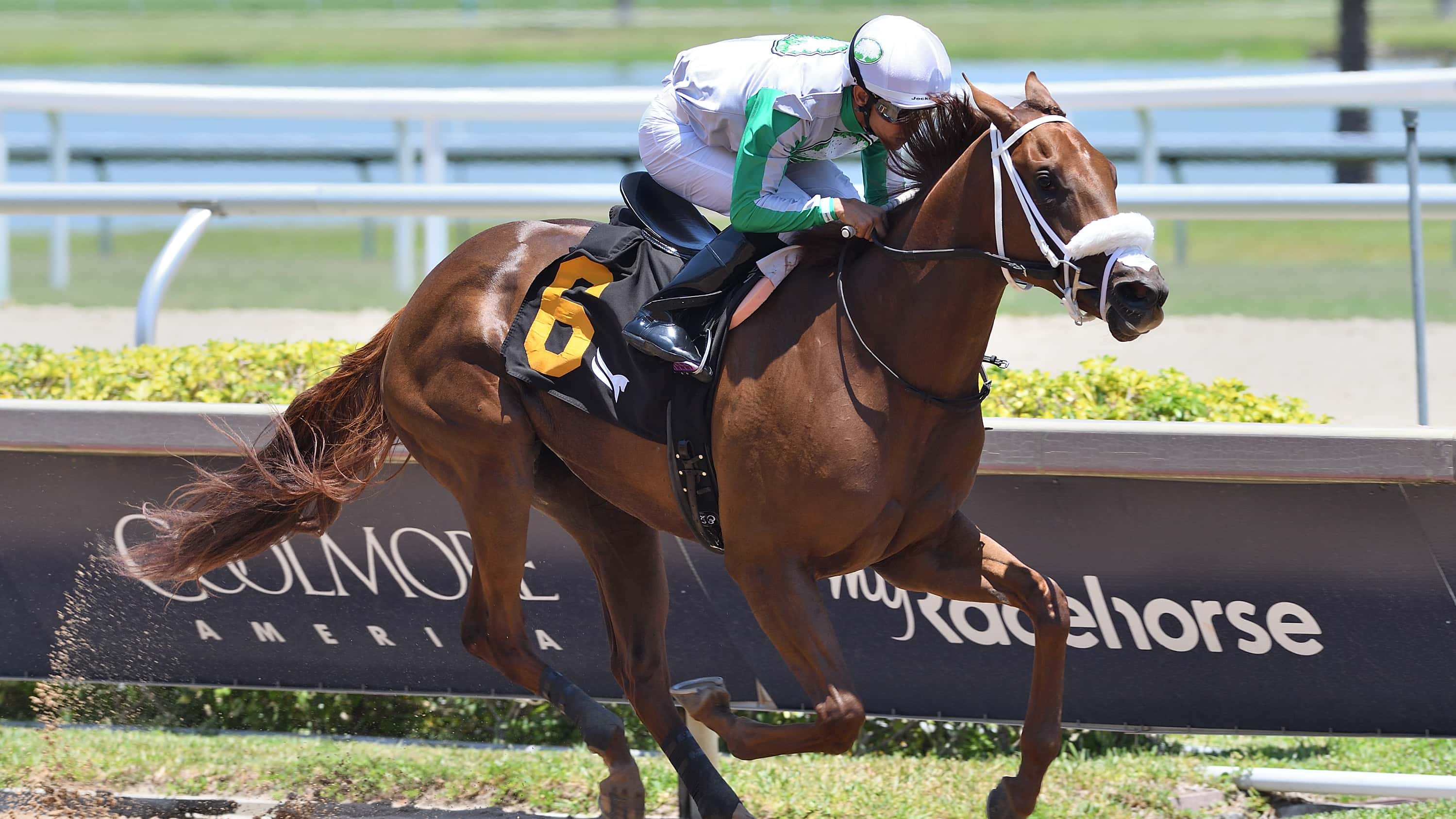 Evolution Back at Home for $75,000 Sharp Susan