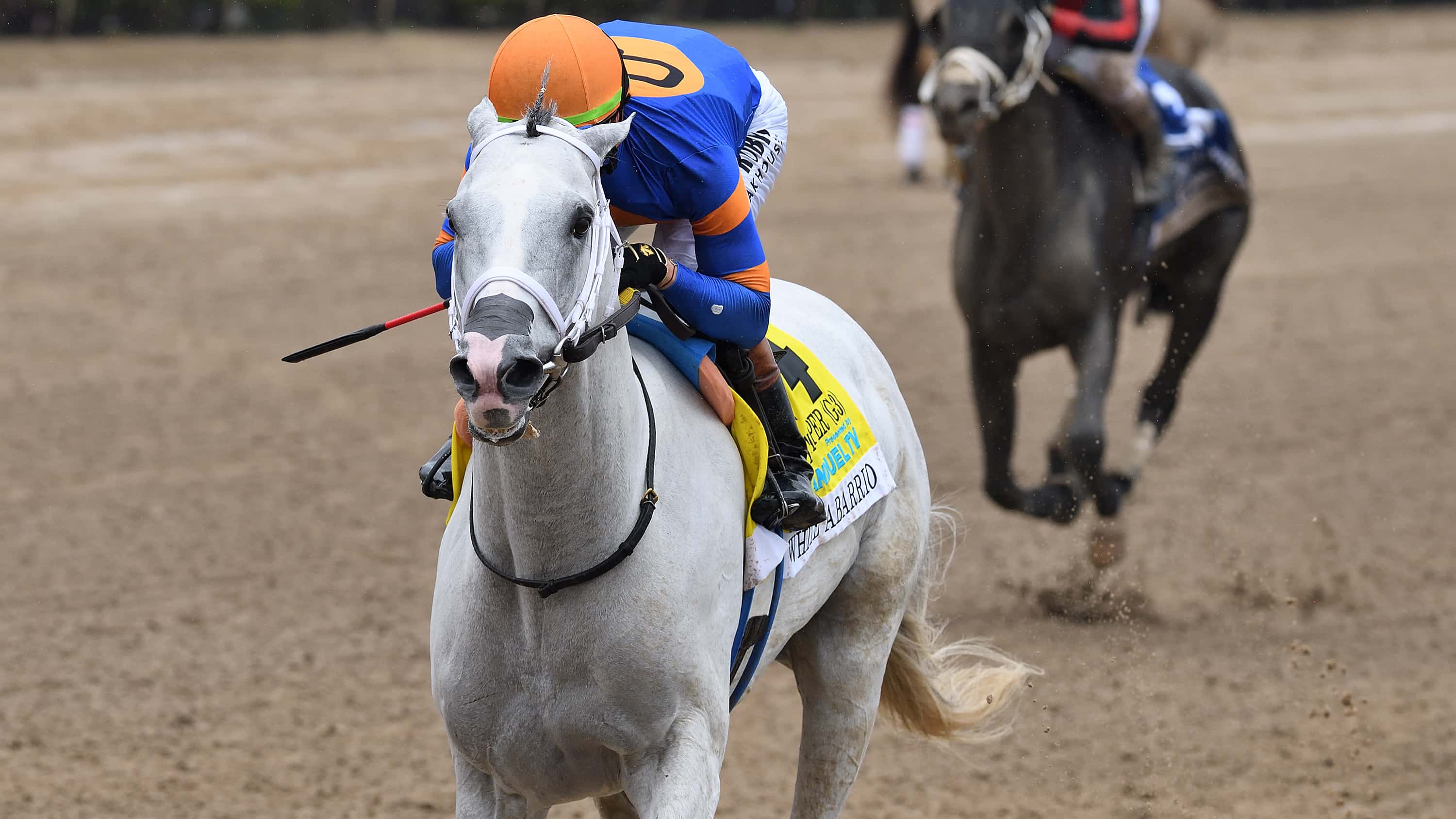 White-Abarrio-the-Ghostzapper-1