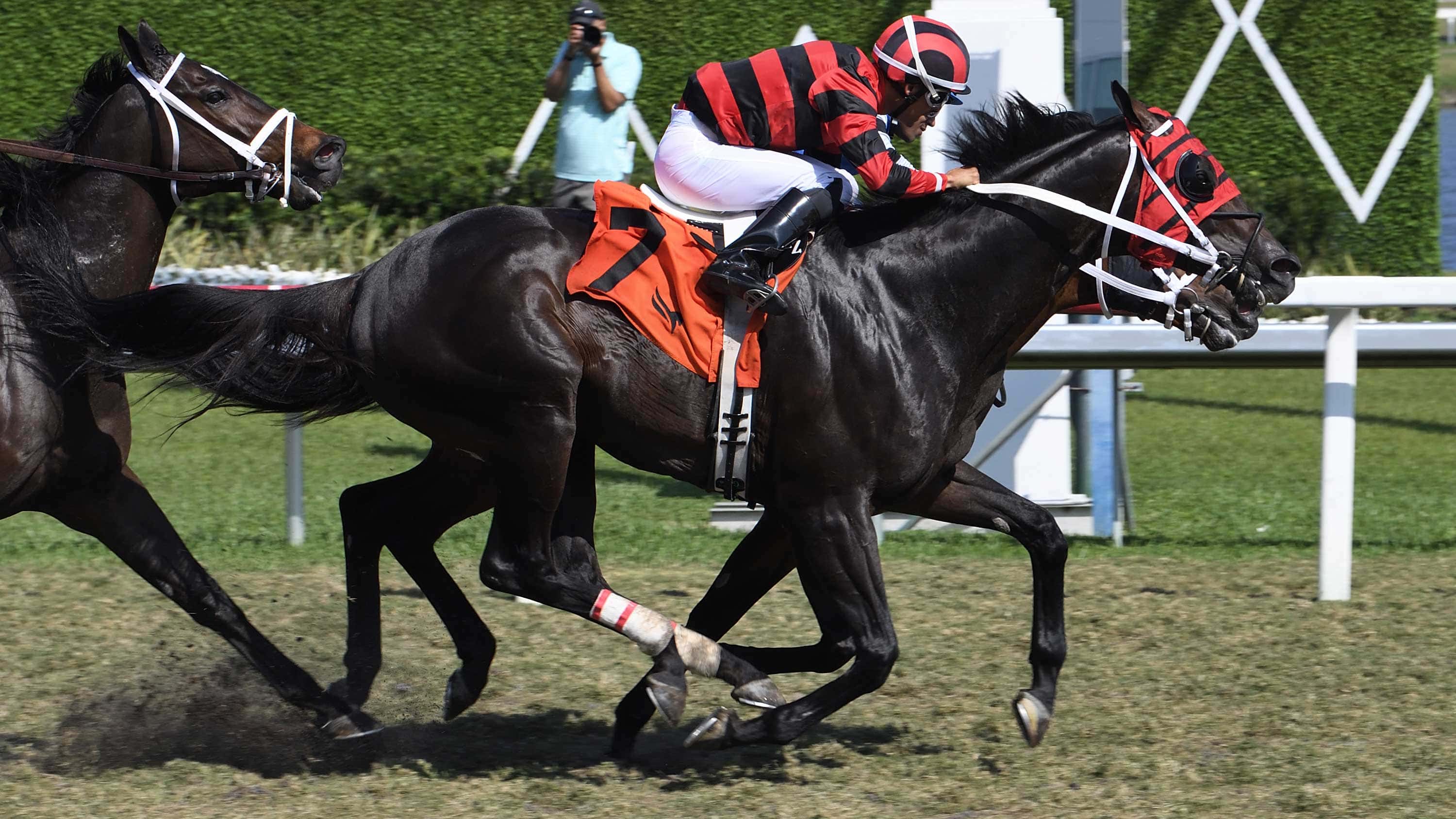 Eamonn-the-Silks-Run