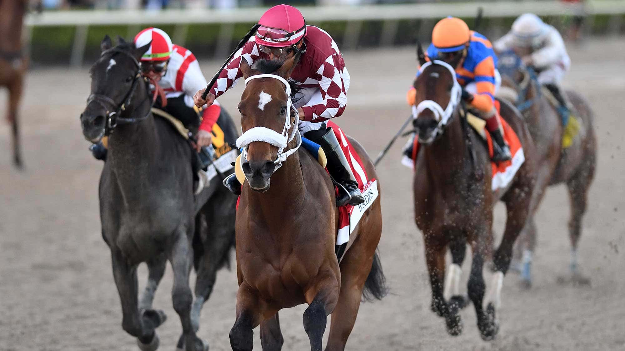 Hades-the-Holy-Bull-2