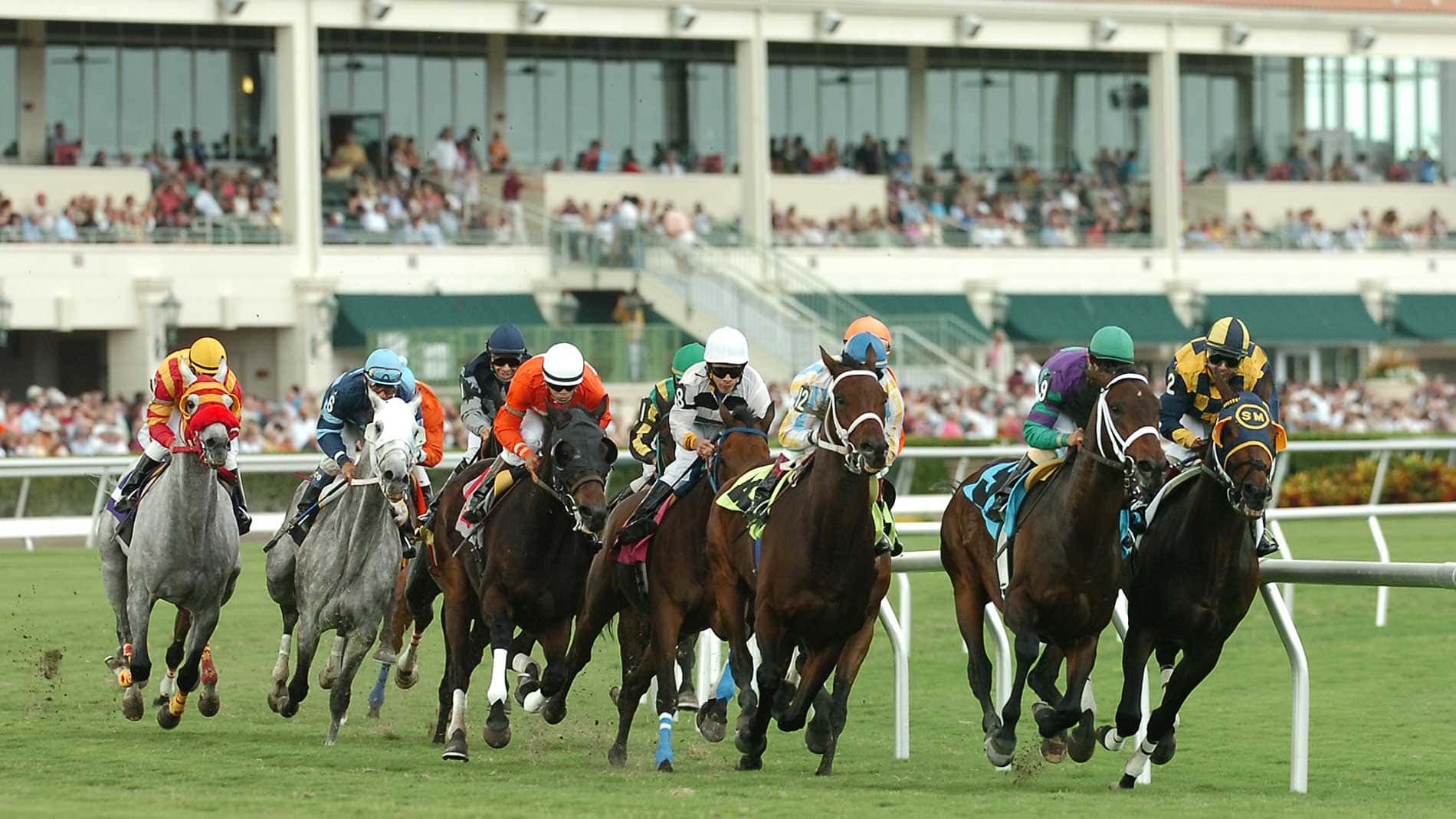 Florida Derby 2022