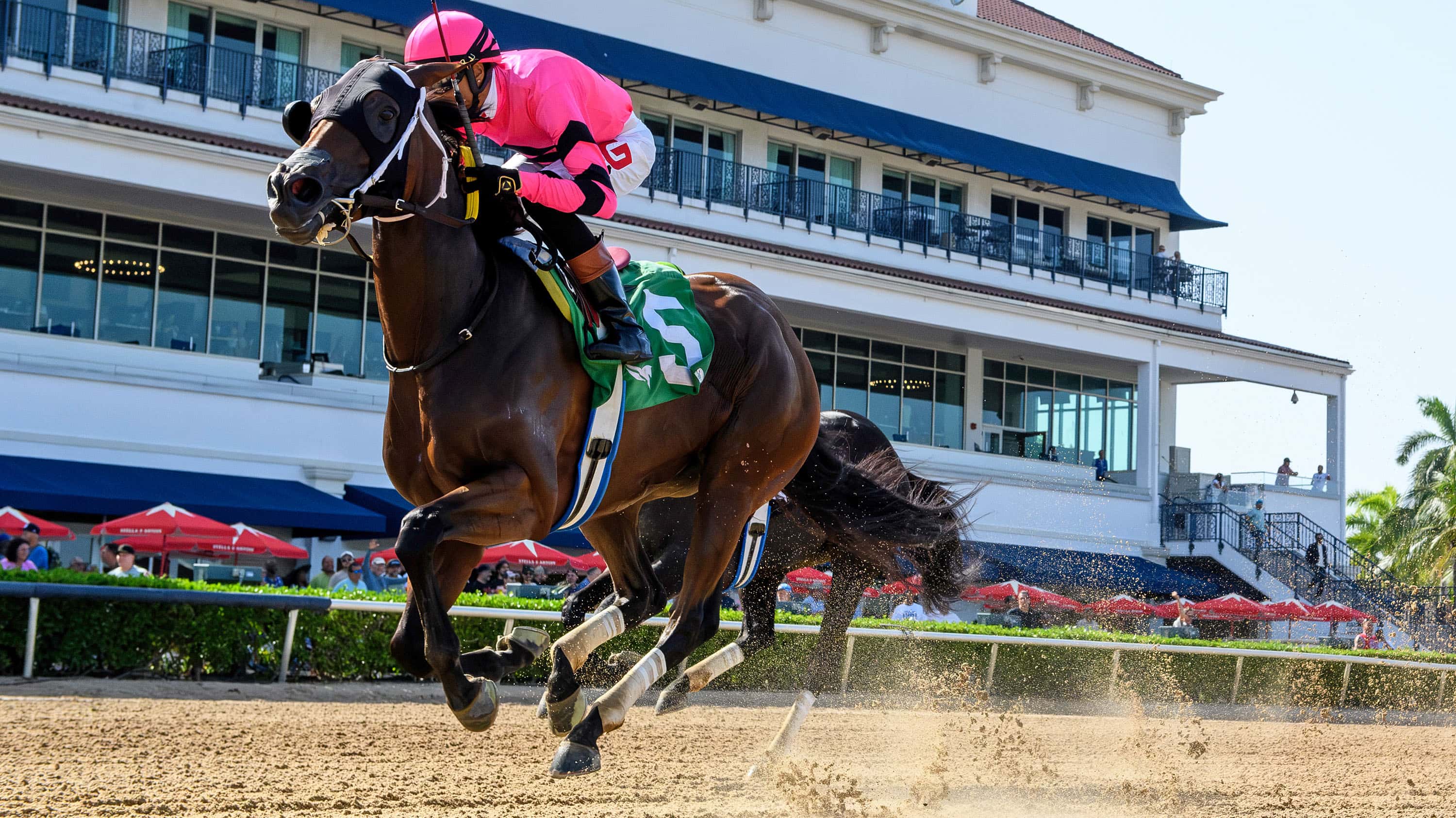 Joseph Seeks Fourth Consecutive Princess Rooney (G3) Saturday at Gulfstream