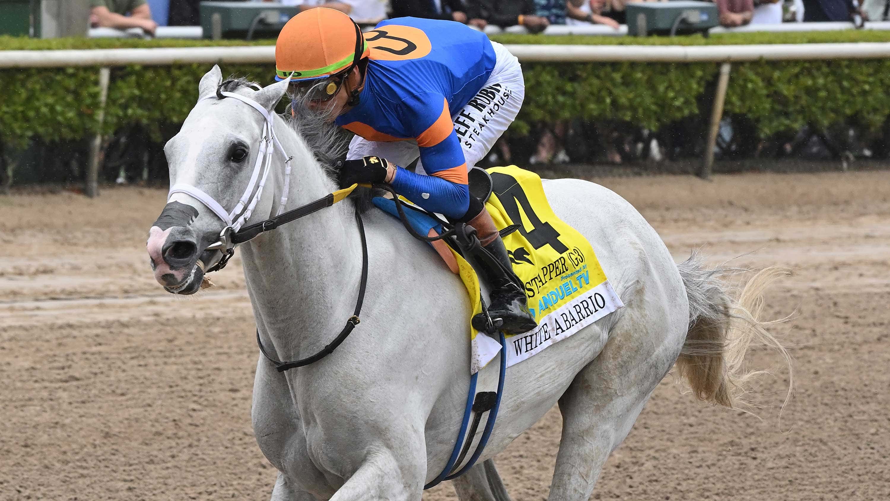 White-Abarrio-the-Ghostzapper