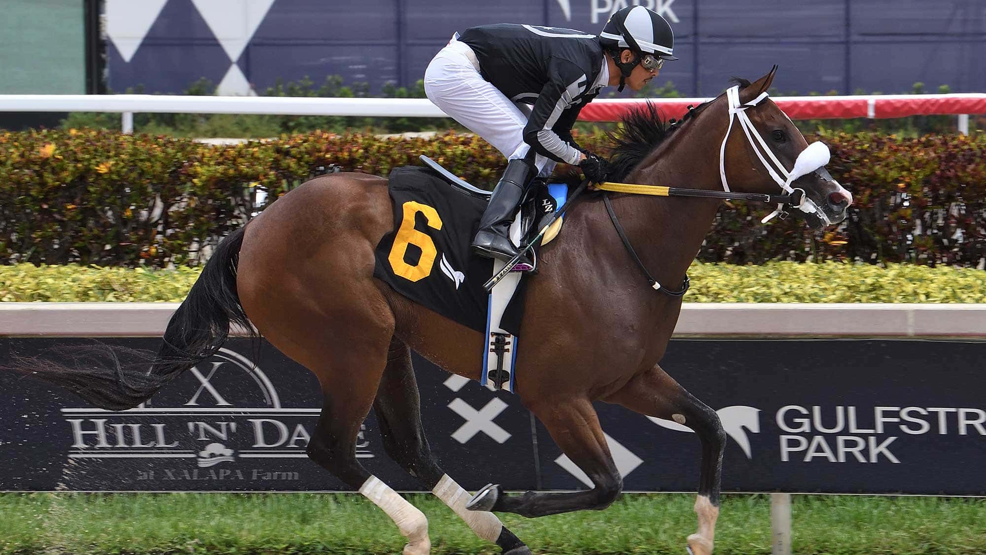 R Harper Rose Cuts Back for $125,000 Forward Gal (G3)