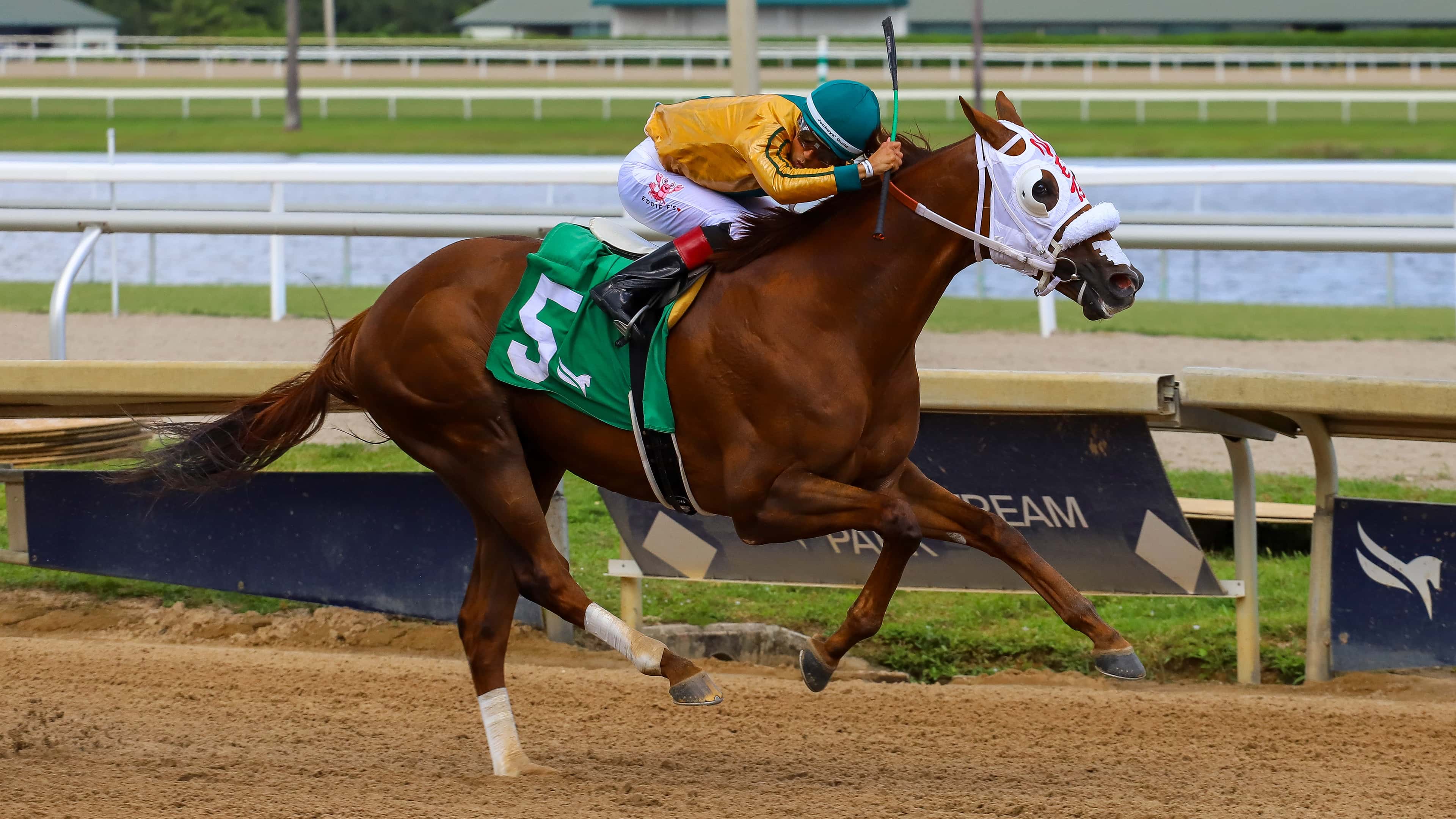 El chileno Capitan Danny sorprende en la sexta carrera dominical