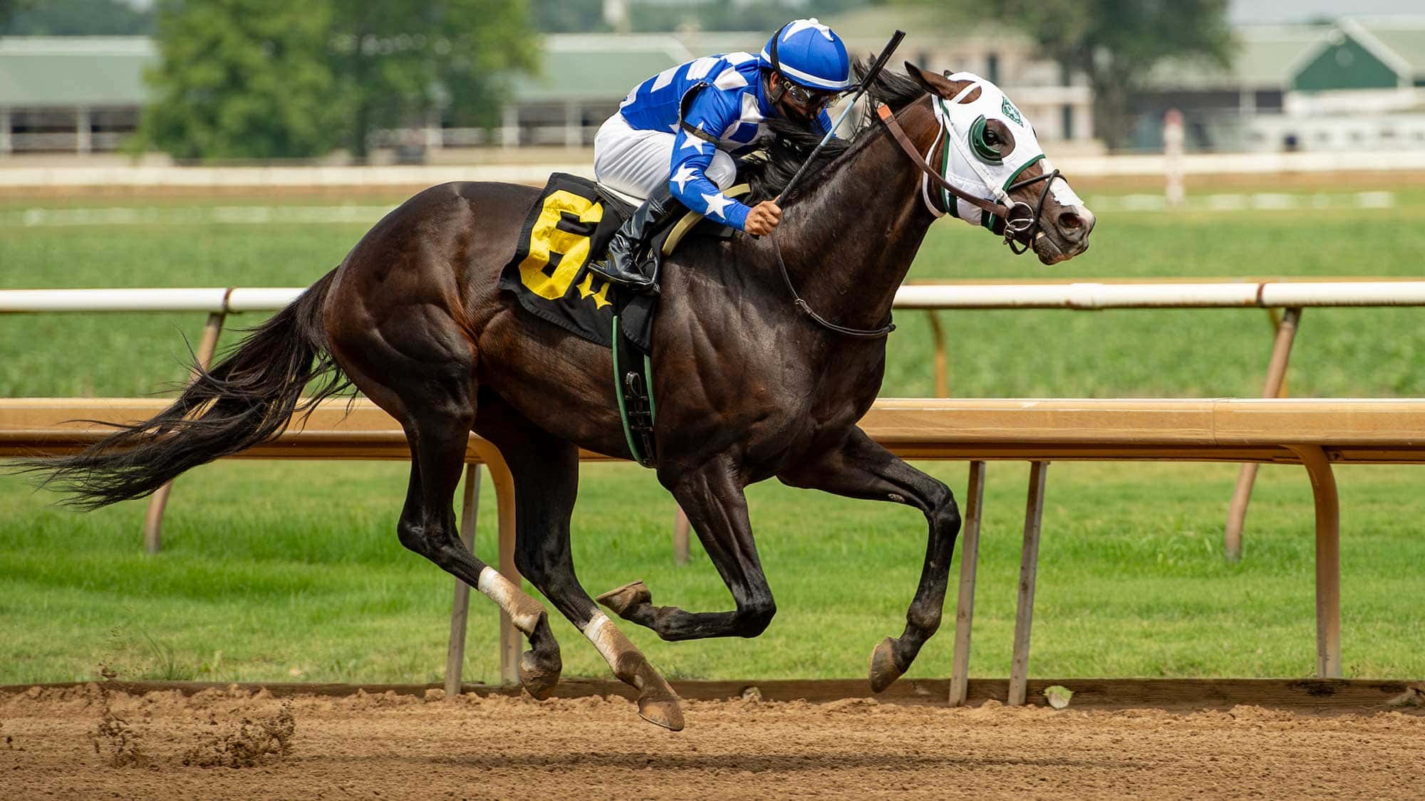 Hoist-the-Gold-2023-07-01-14.57.14-2