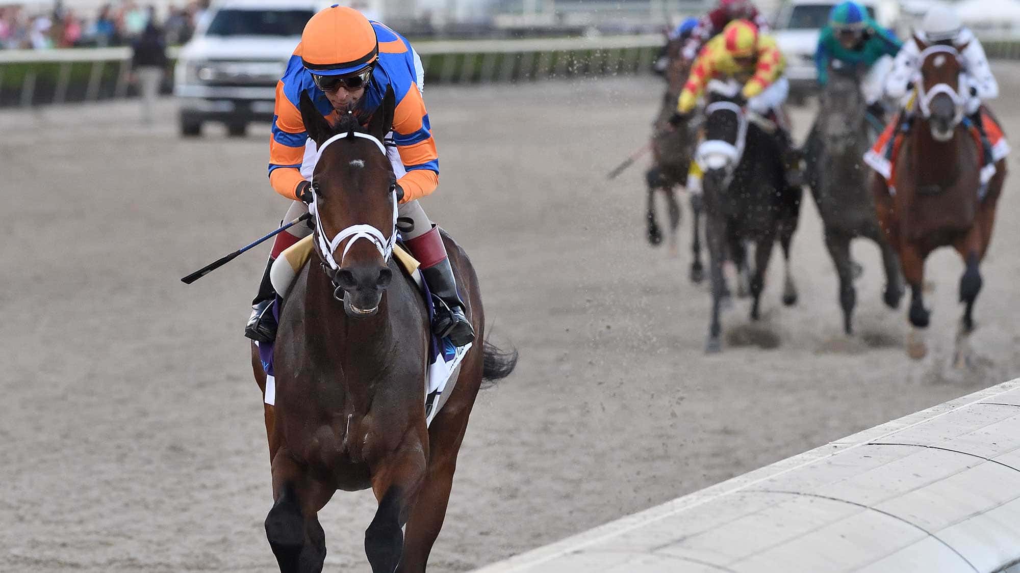 $1 MILLION CURLIN FLORIDA DERBY (G1) PRESENTED BY HILL ‘N’ DALE FARM AT XALAPA QUOTES