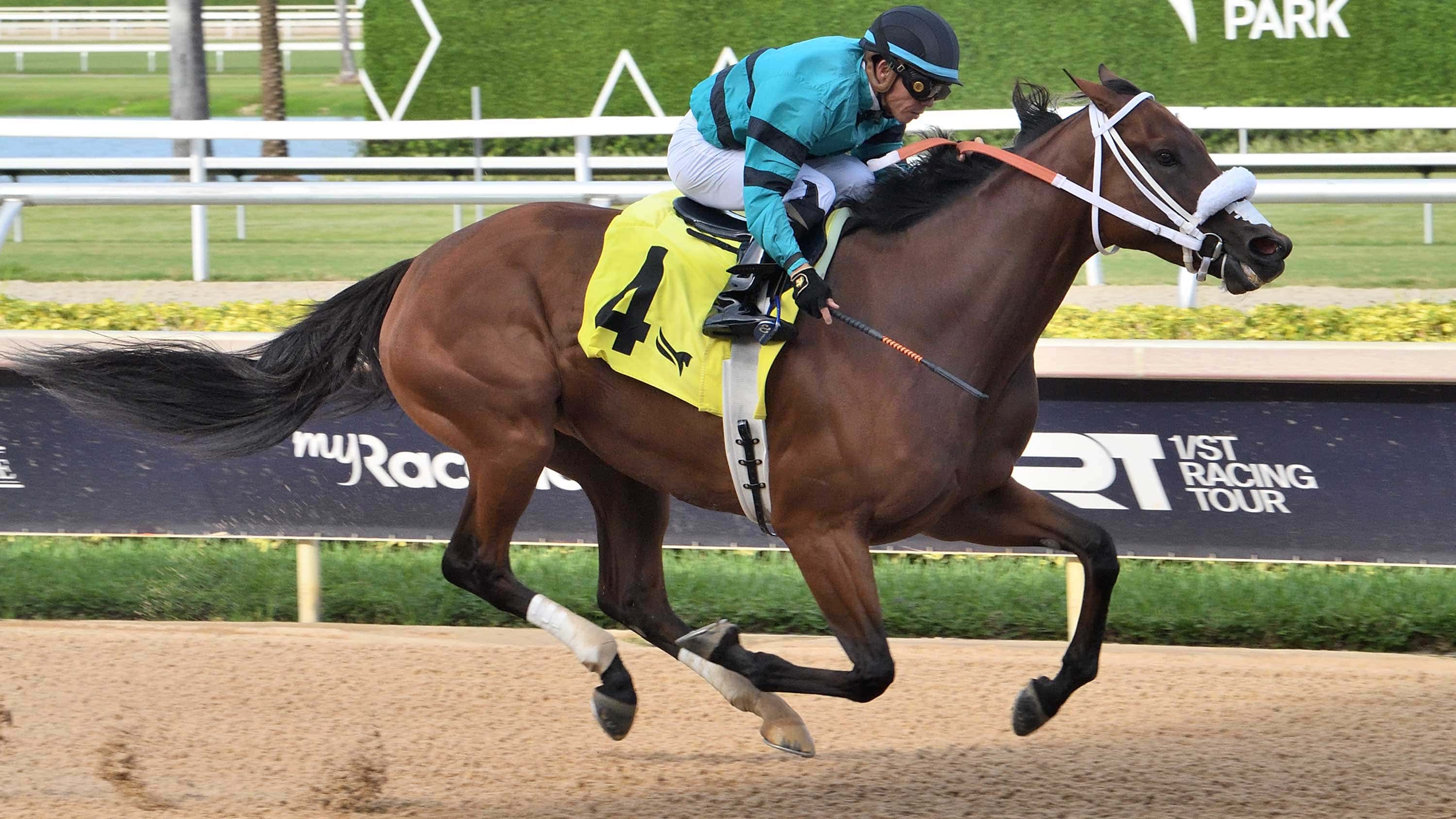 Beths-Dream-the-Sheer-Drama-2