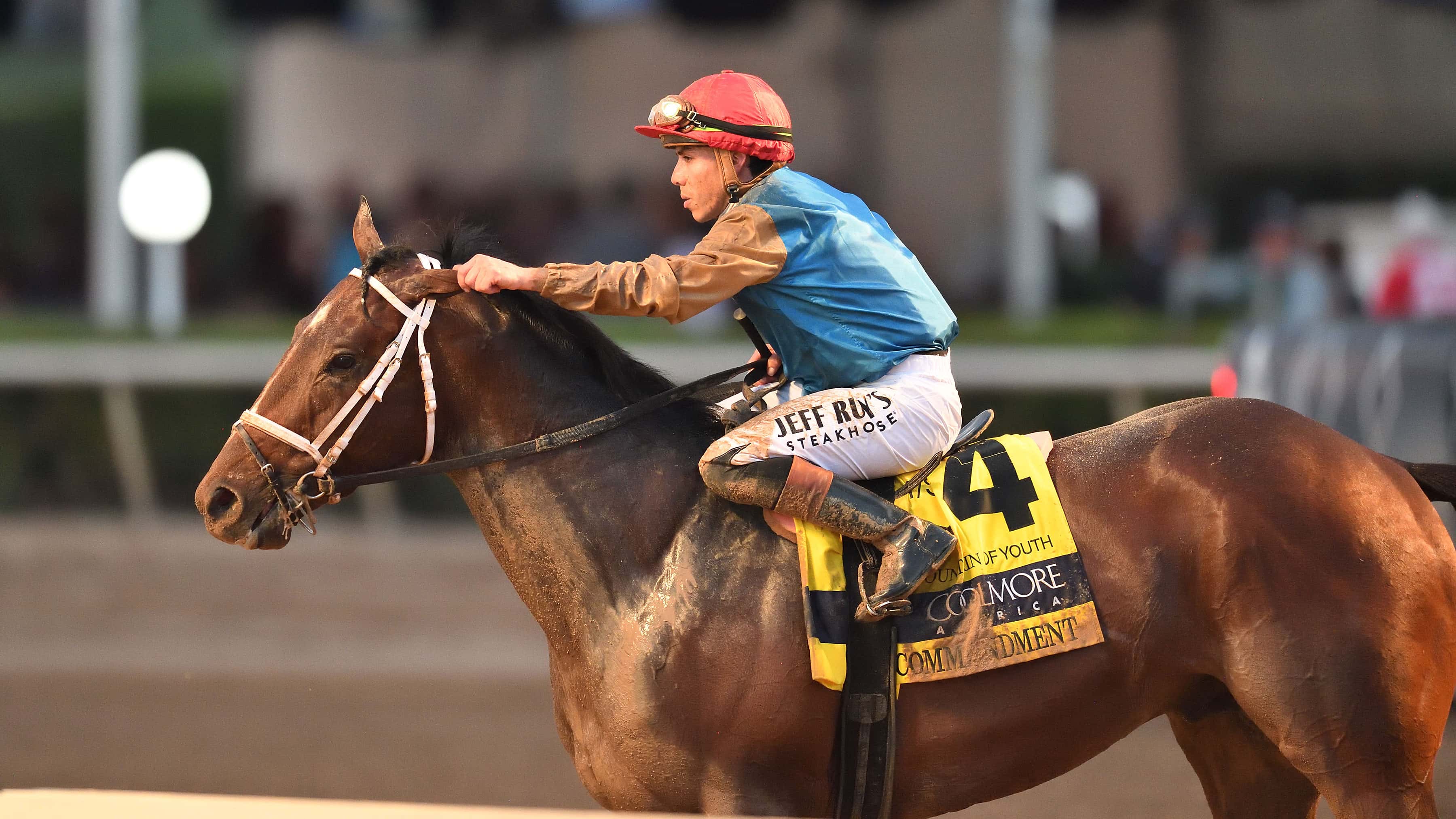 Commandment-the-FOY-2