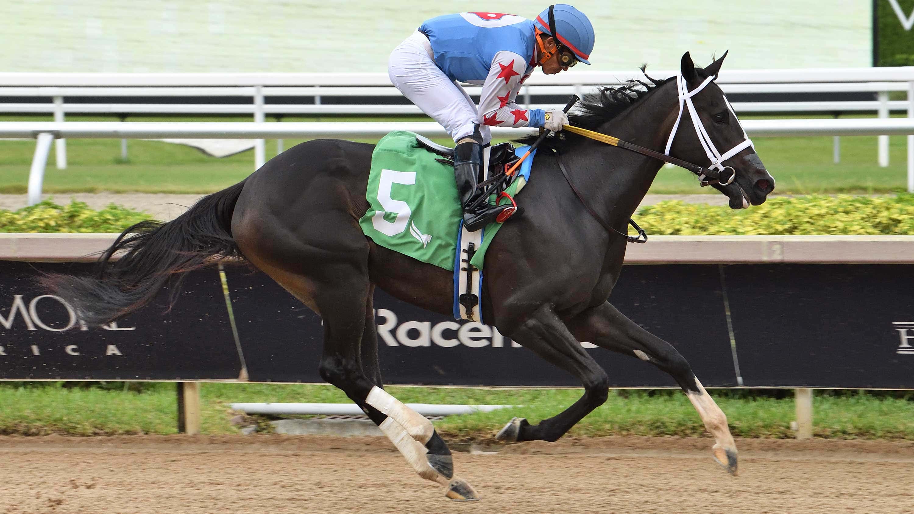 Andrea-the-Hallandale-Beach