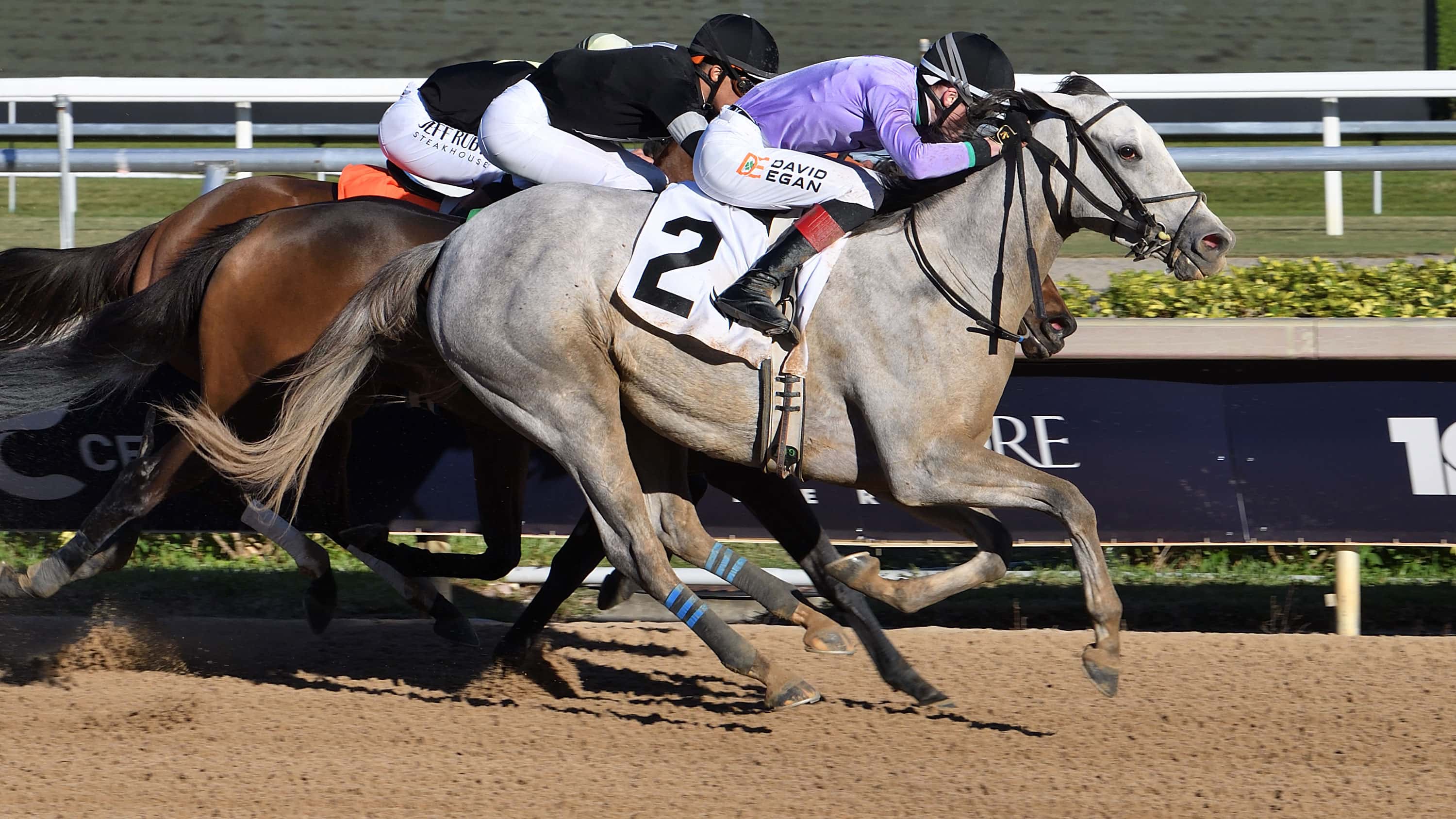 Haute Diva Springs 14-1 Upset in $175,000 Cash Run