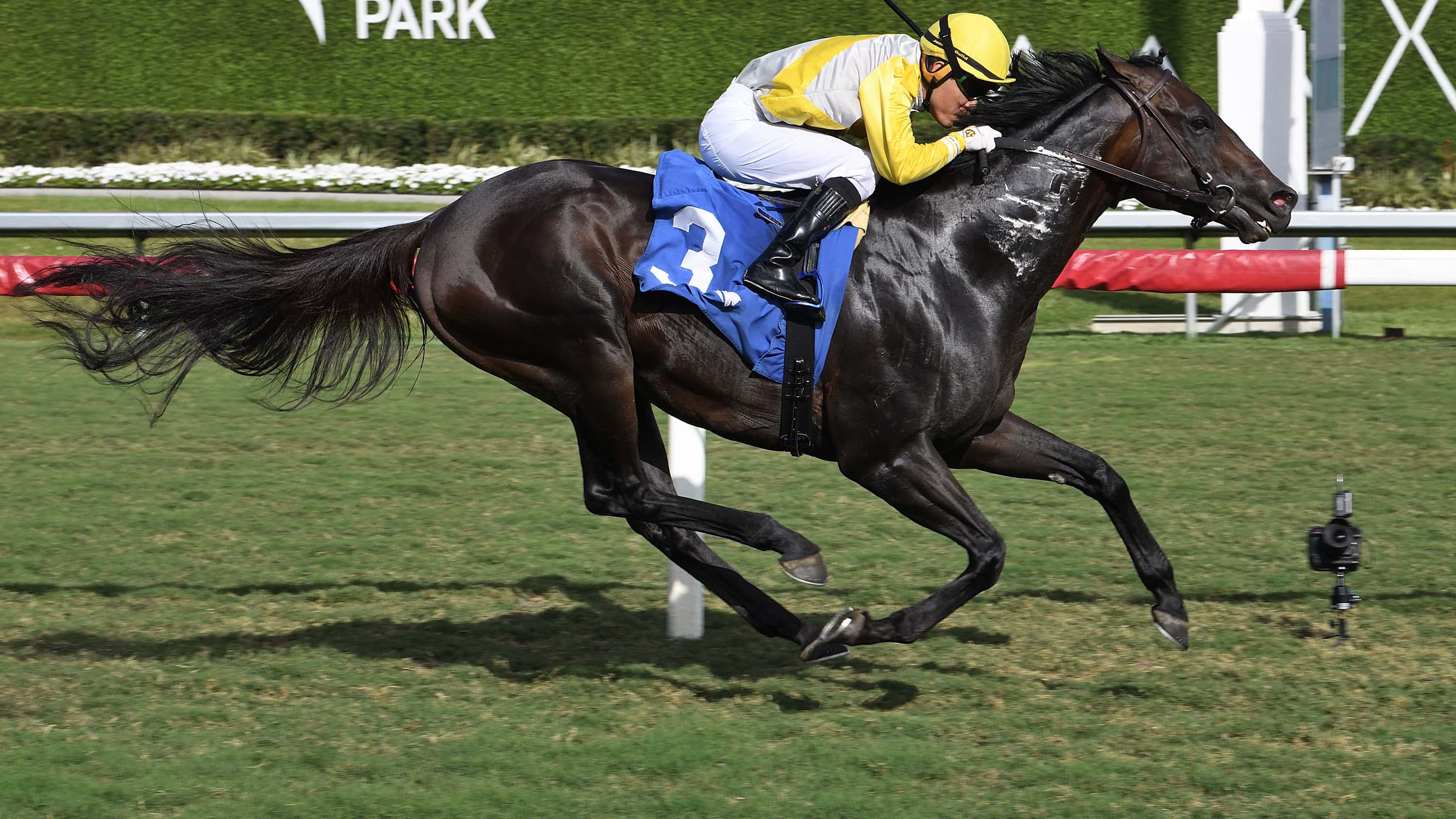 Litigation-the-Silks-Run