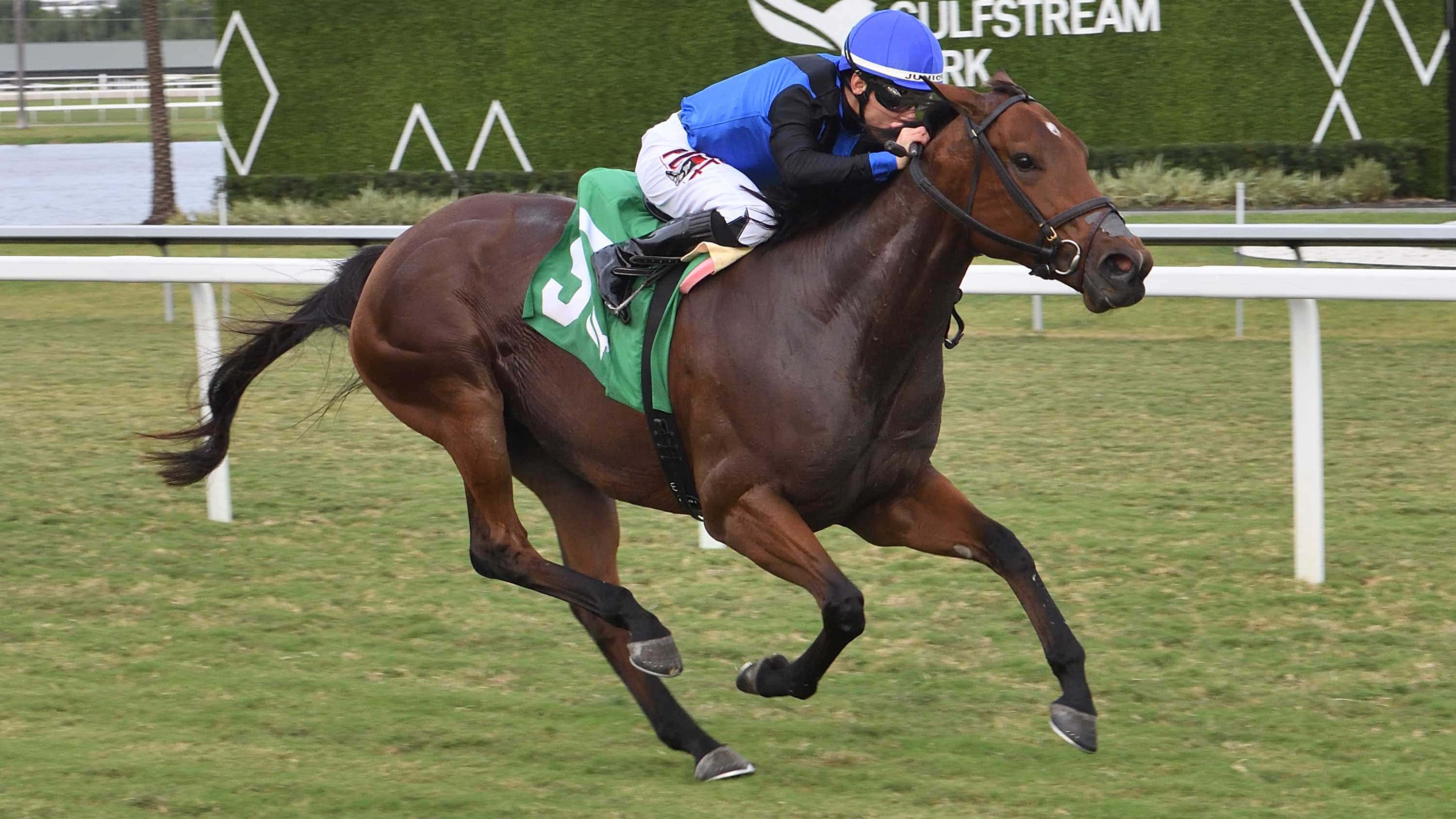 Just-a-Care-the-Abundantia