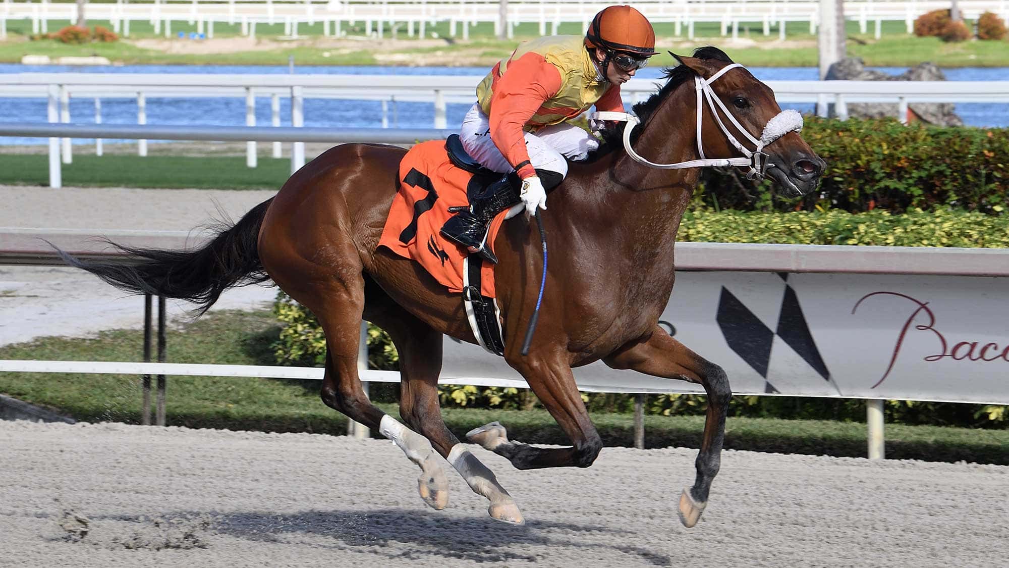 Maryquitecontrary-the-Rampart