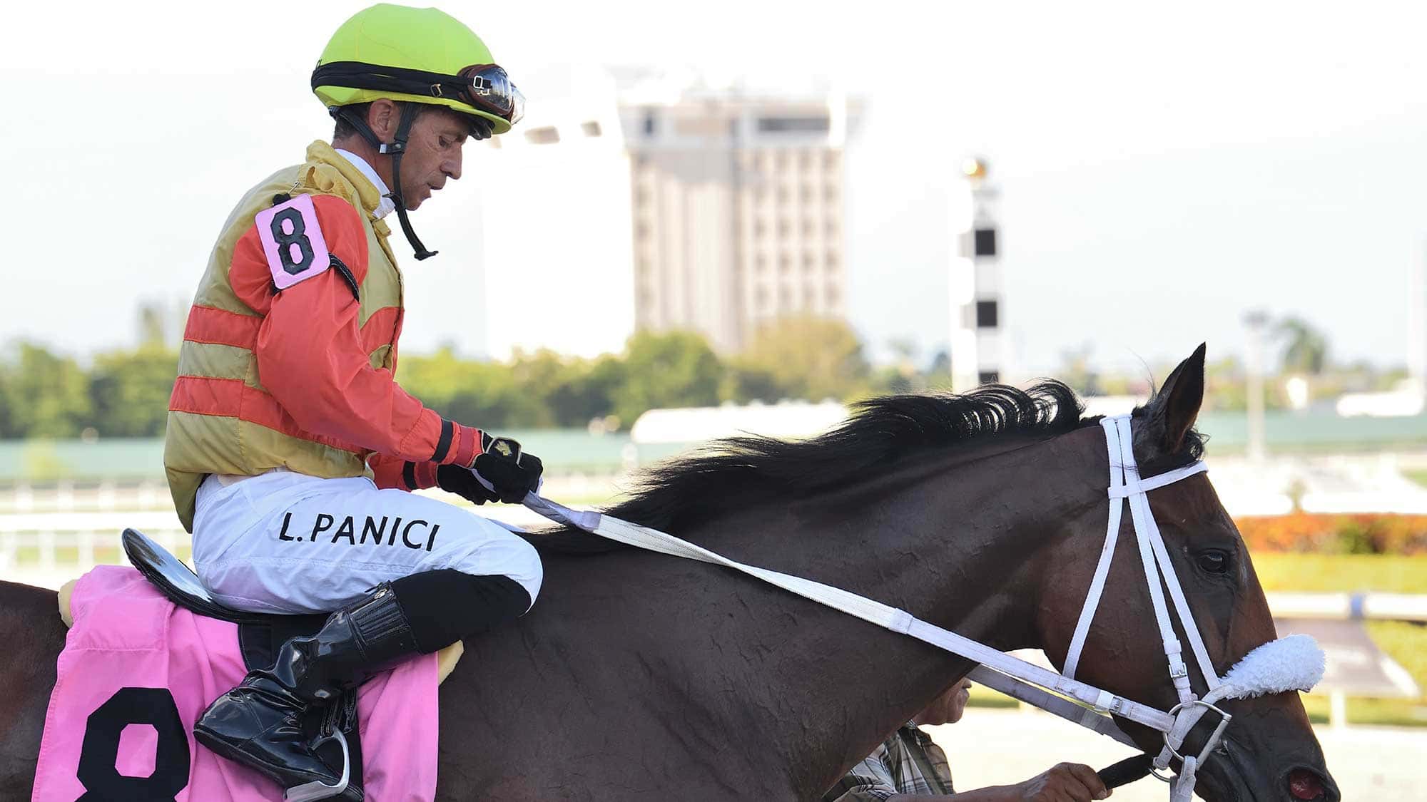 Maryquitecontrary-the-Sheer-Drama2