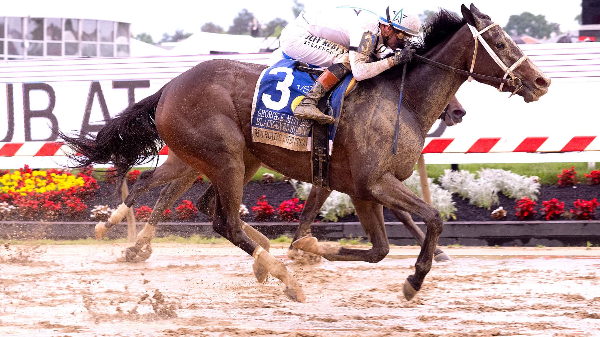 Queen Azteca has Another Road Game in Allaire du Pont