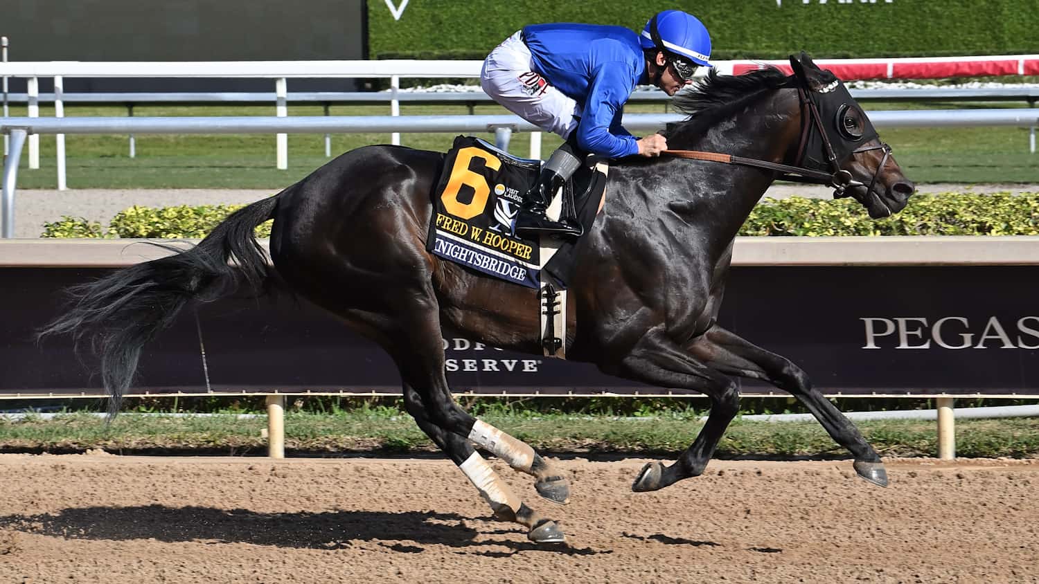 Knightsbridge-the-Fred-Hooper