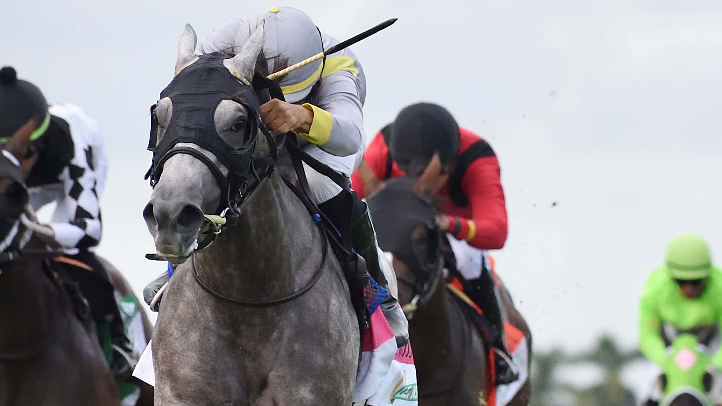 Lennilu-the-Hollywood-Beach