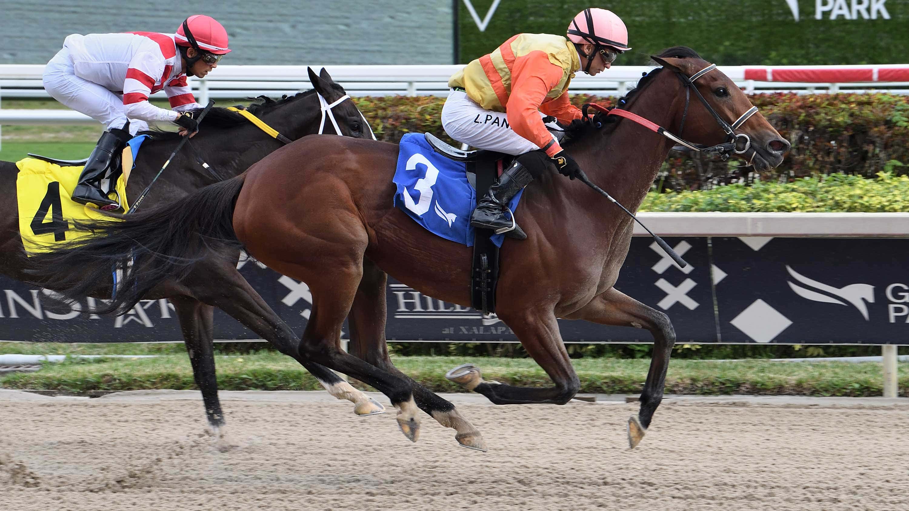 Maryquitecontrary-the-Rampart-23