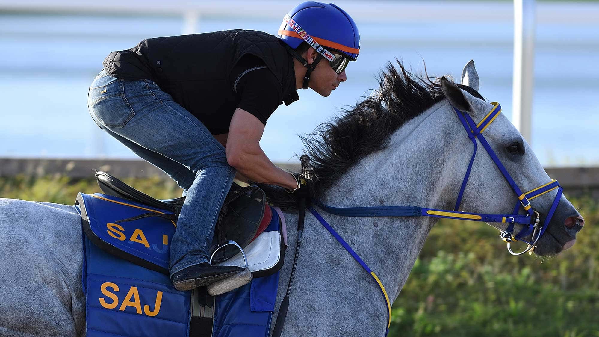 white-abarrio-4-17-3