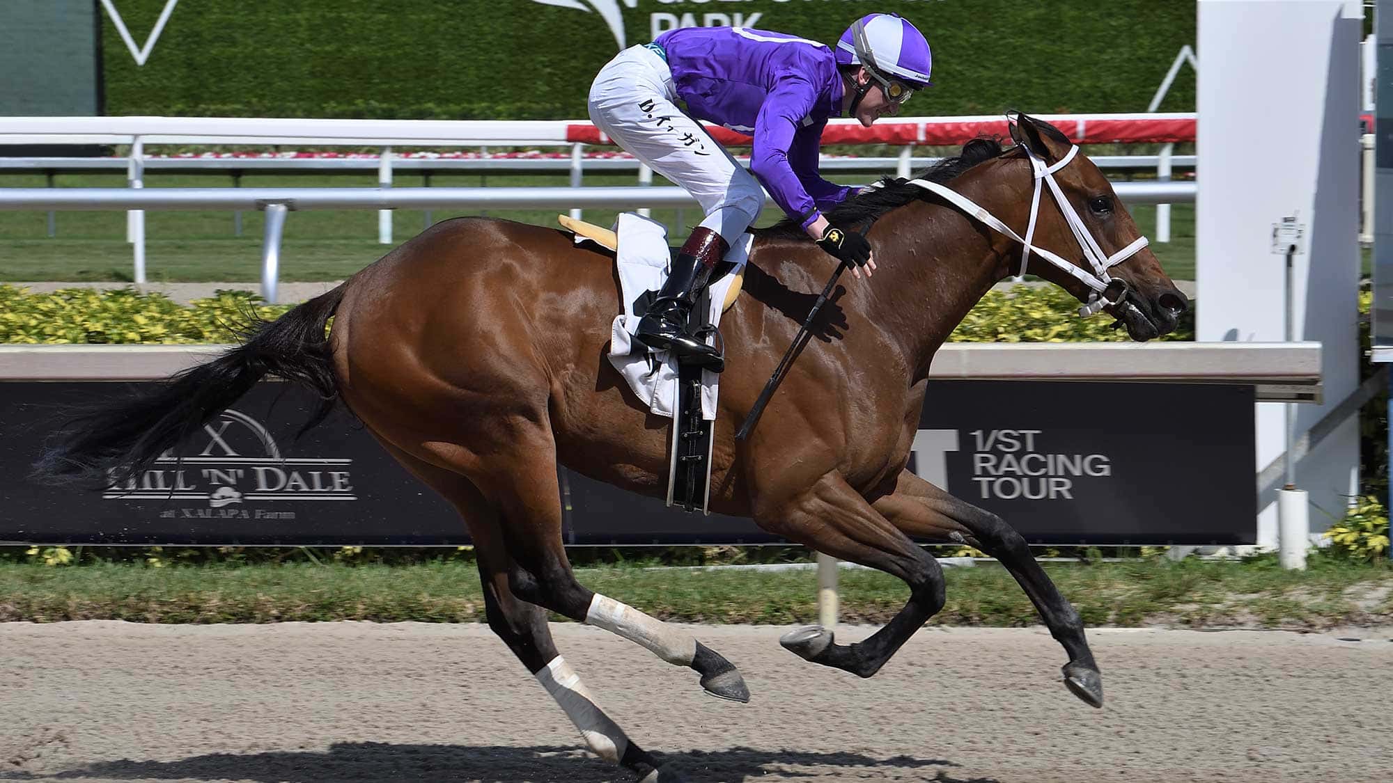 Launch-the-Any-Limit