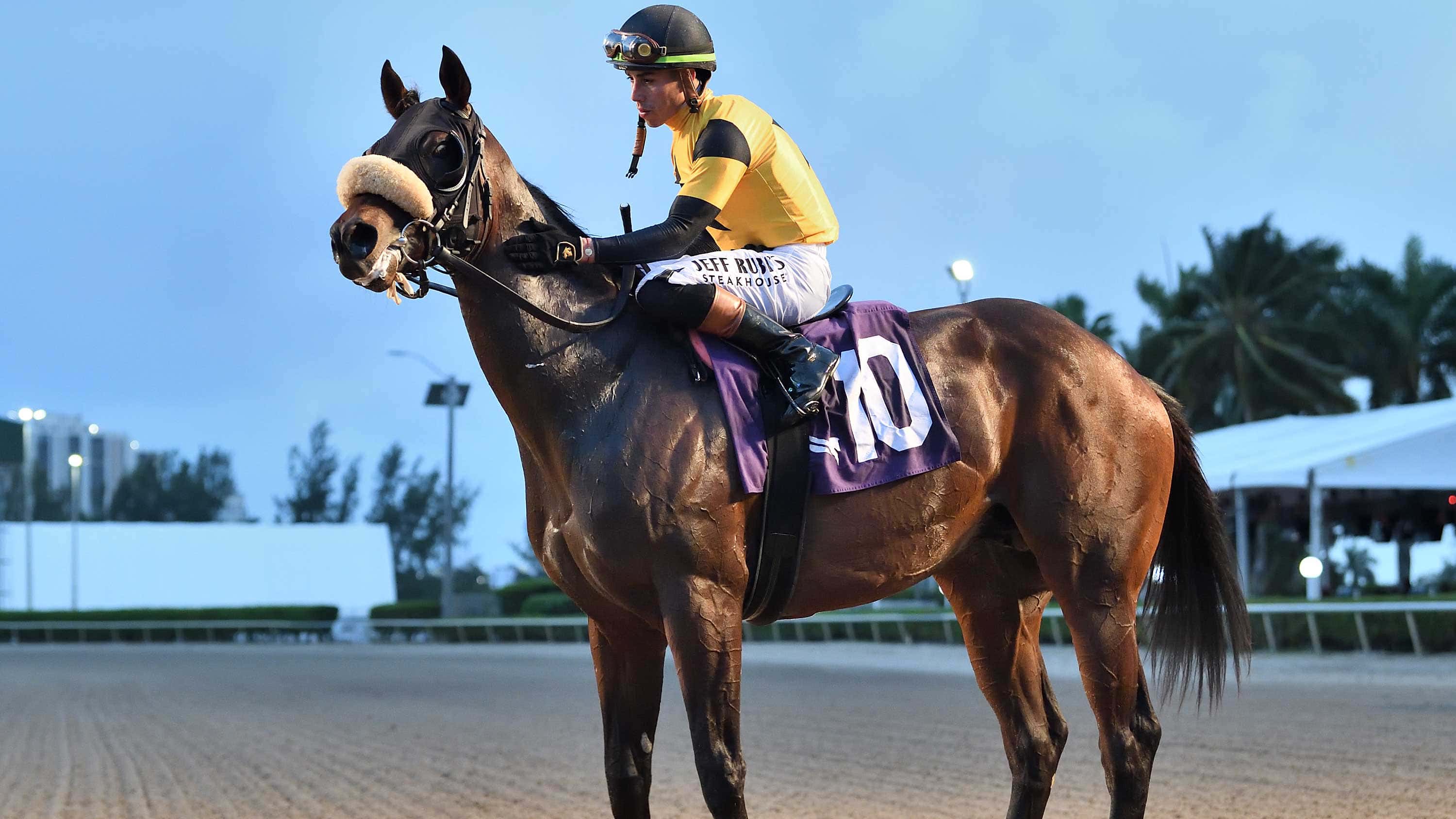 Cugino-irad-the-Tropical-Park-Derby-3