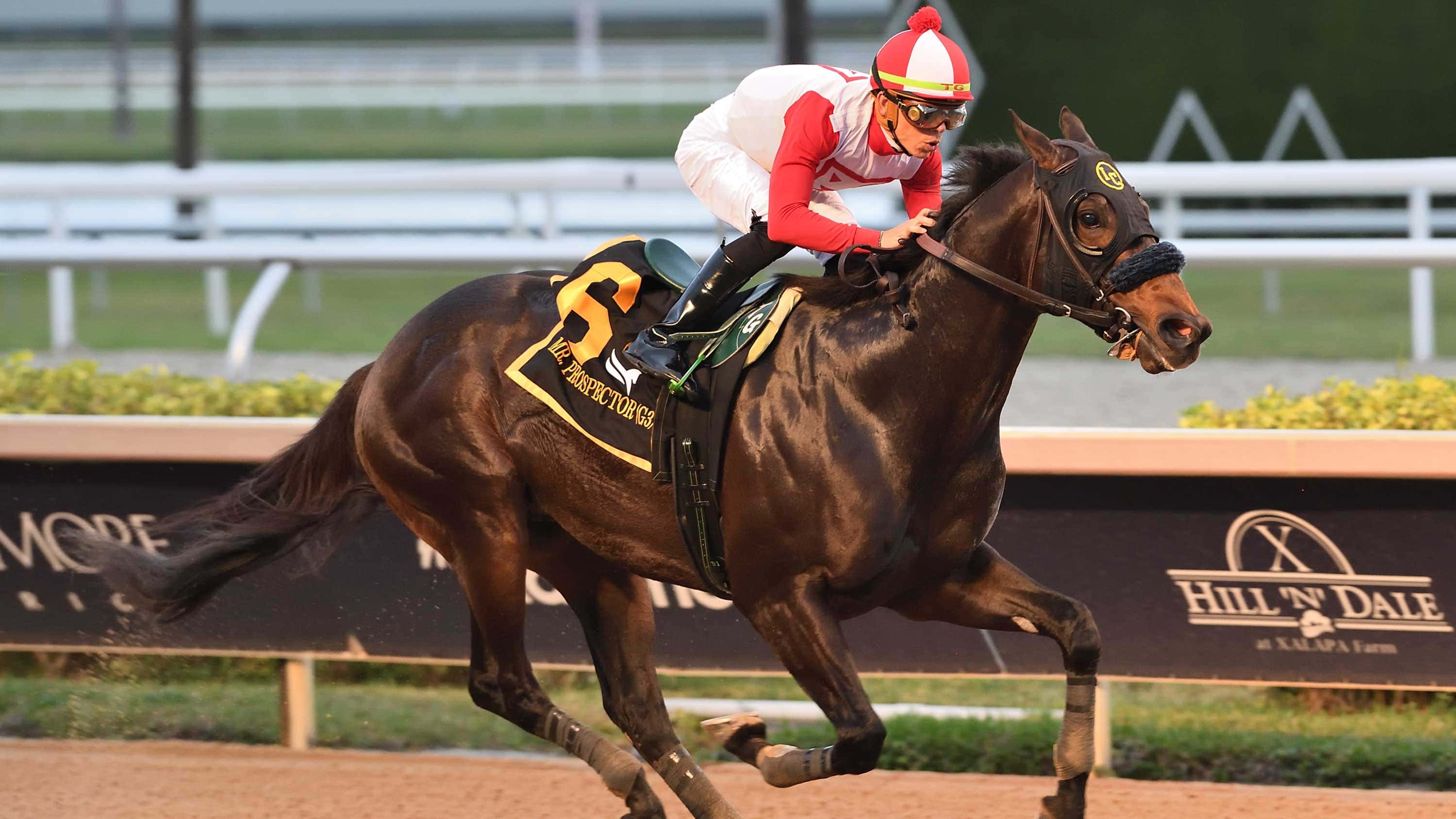 Mufasa-2024-Mr-Prospector