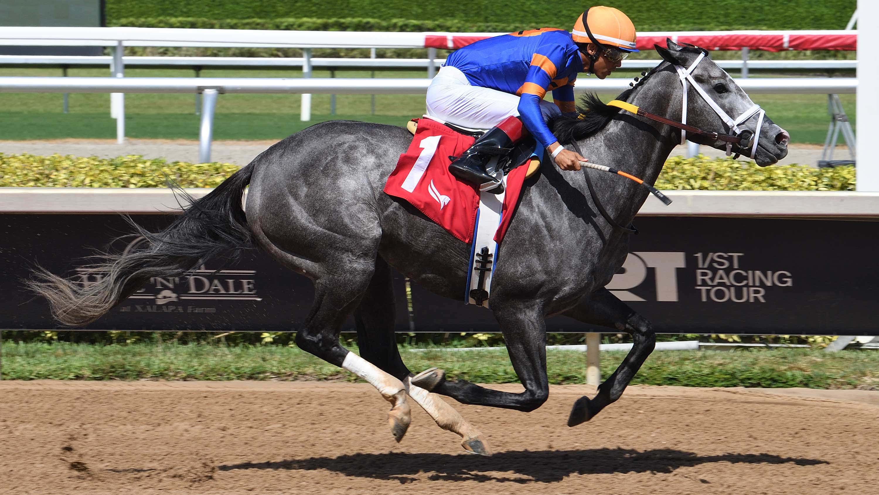 Haulin-Ice-The-Musical-Romance