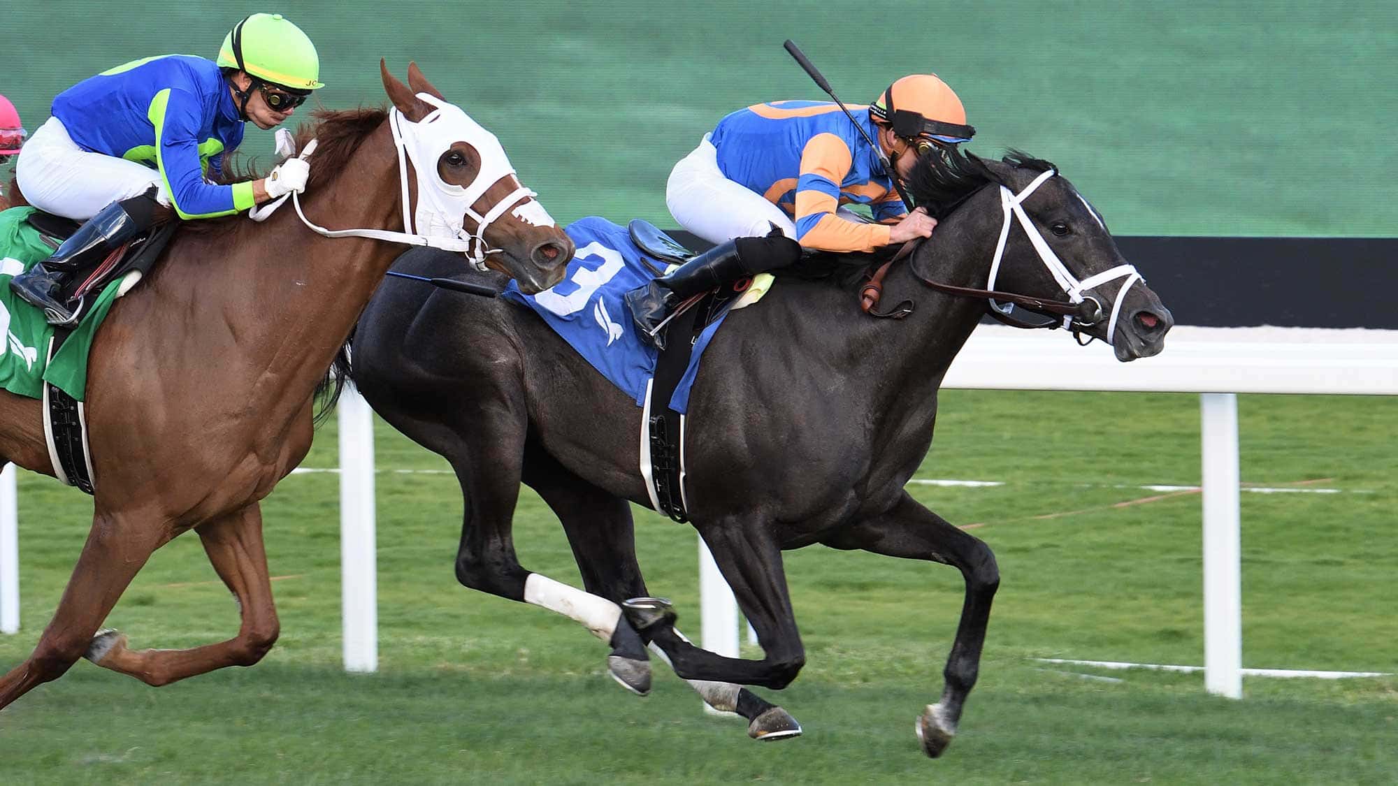 Cairo-Consort-the-Ginger-Brew02