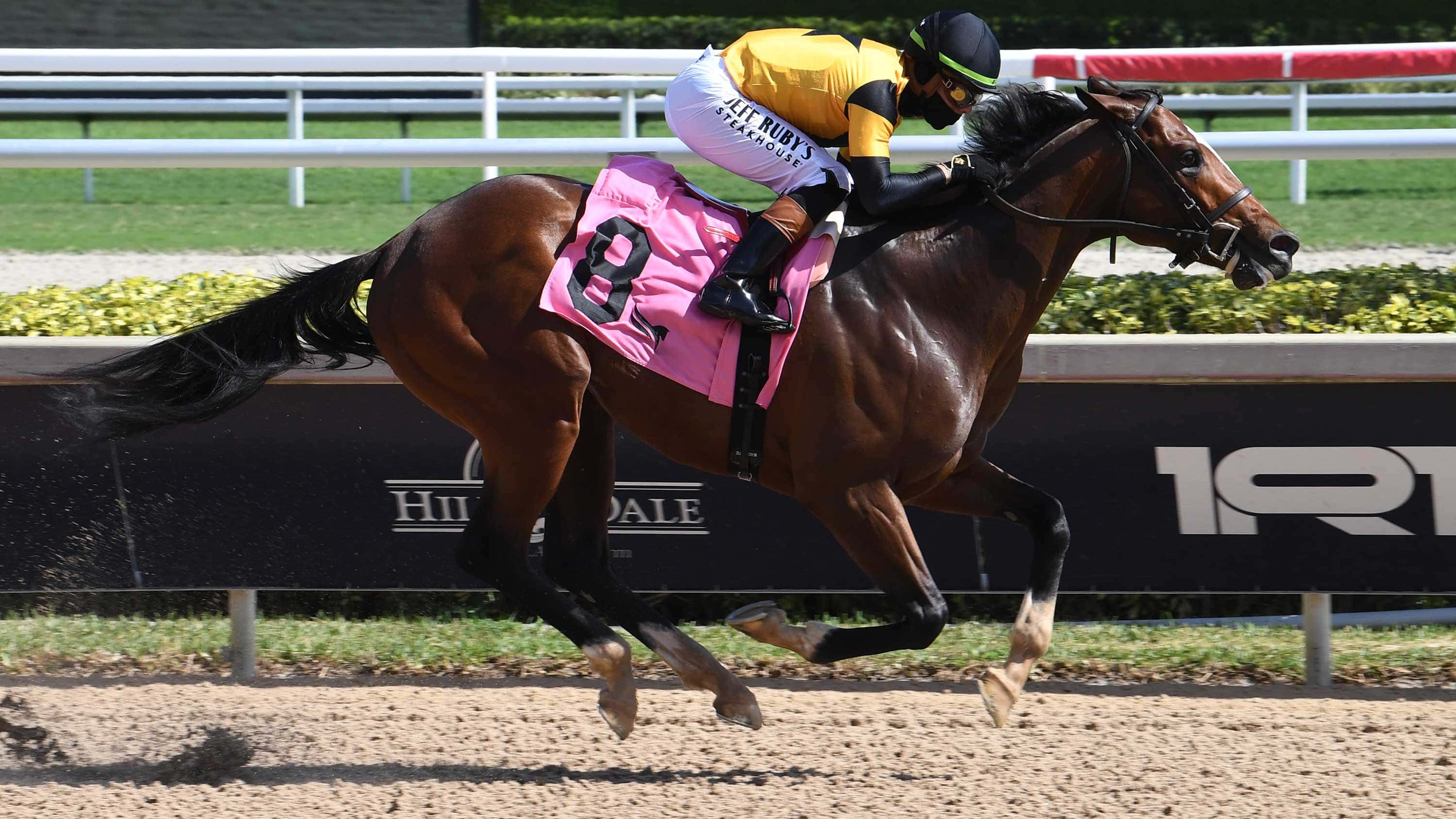 sorcerer-s-silver-2.1