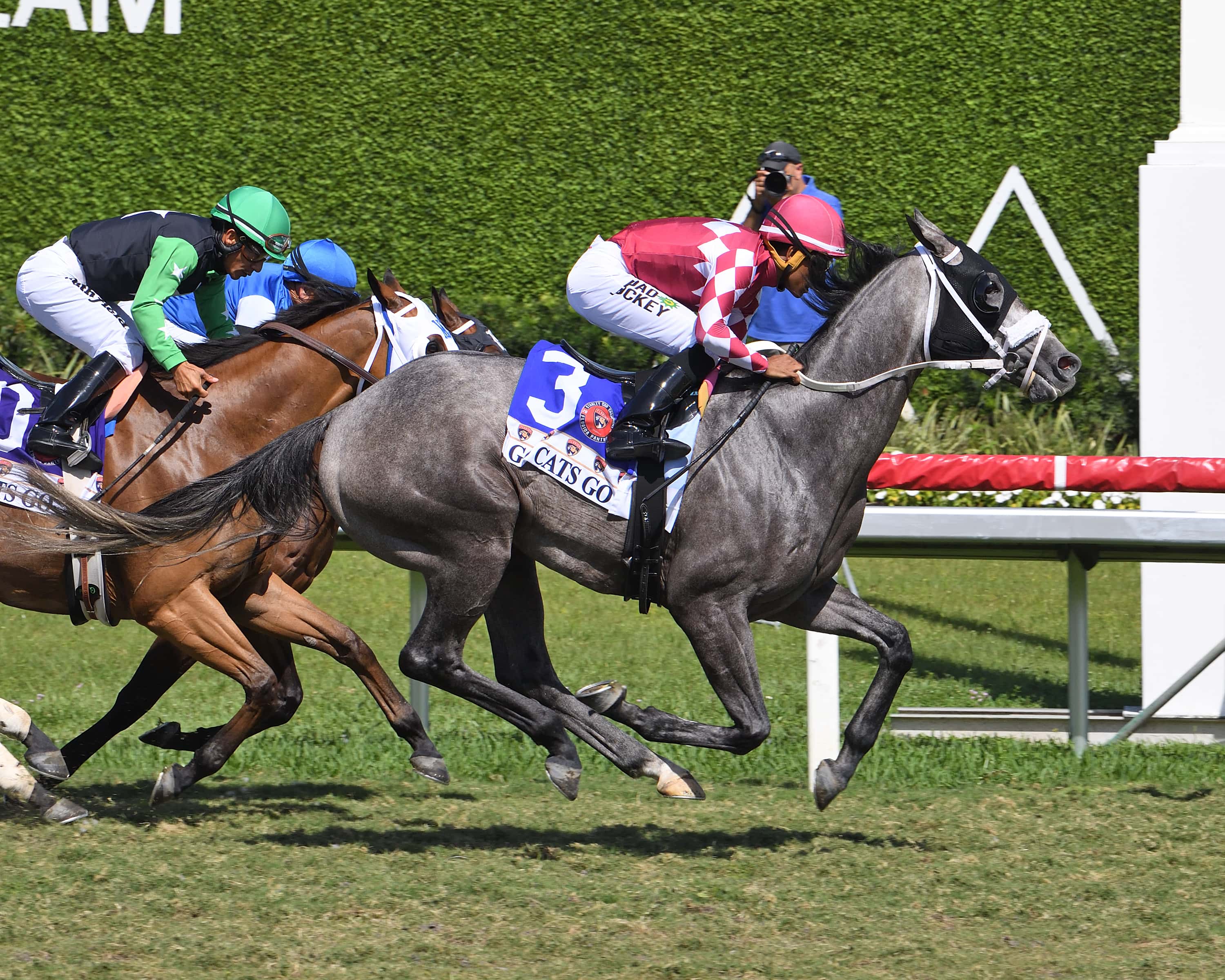 Horsepower The Go Cats Go credit Ryan Thompson2