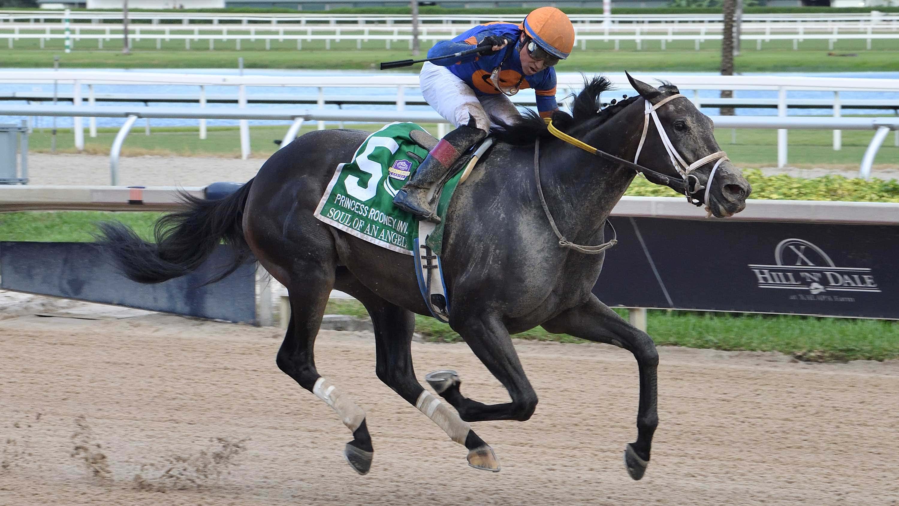 Soul-of-an-Angel-the-Princess-Rooney2