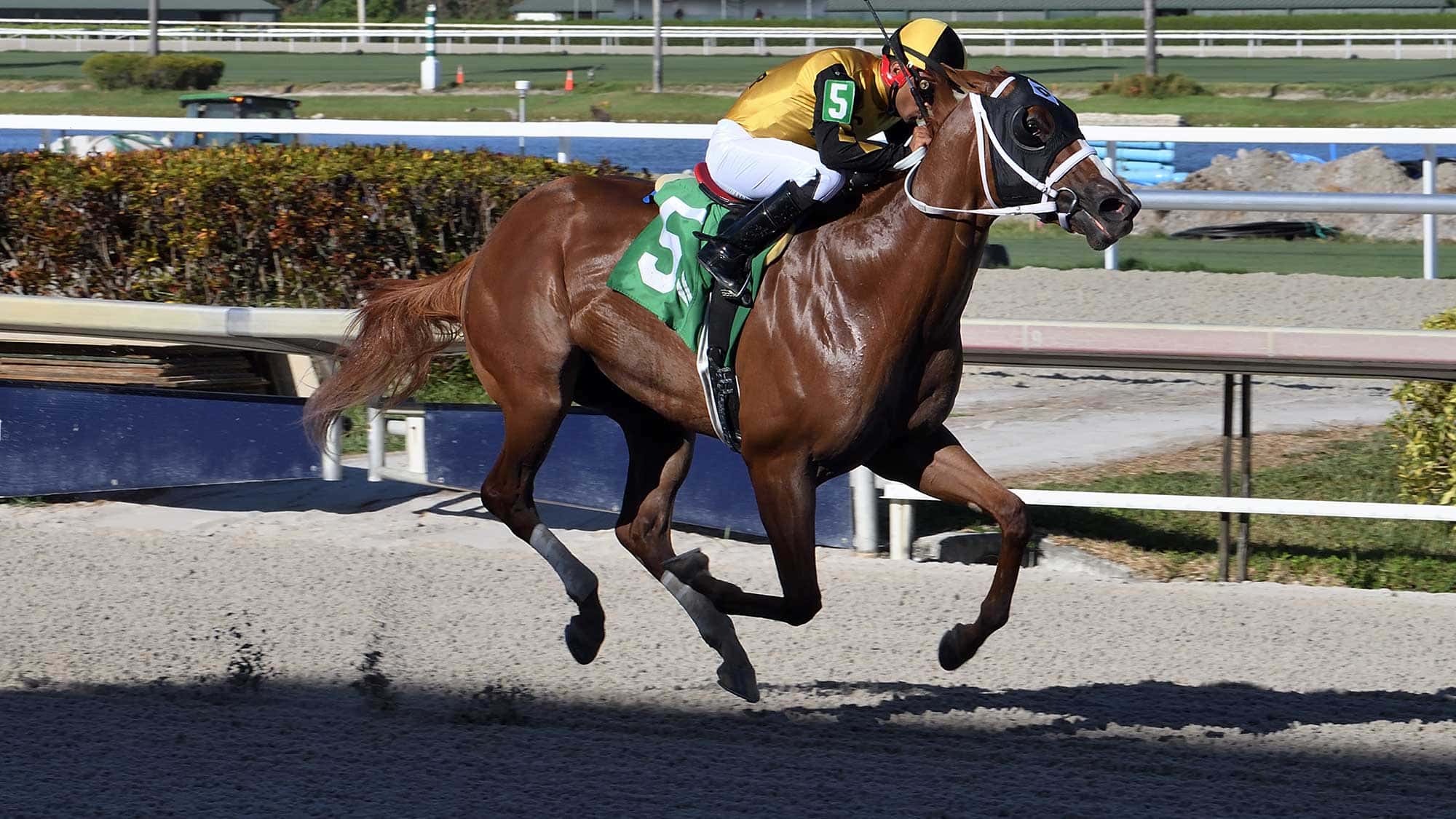 Awesome-Strong-the-FSS-Affirmed-3