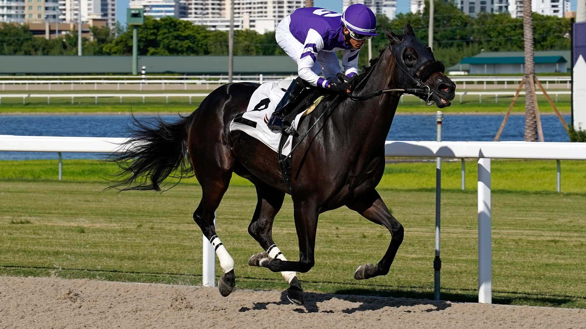 Time-Passage-the-Miss-Gracie-