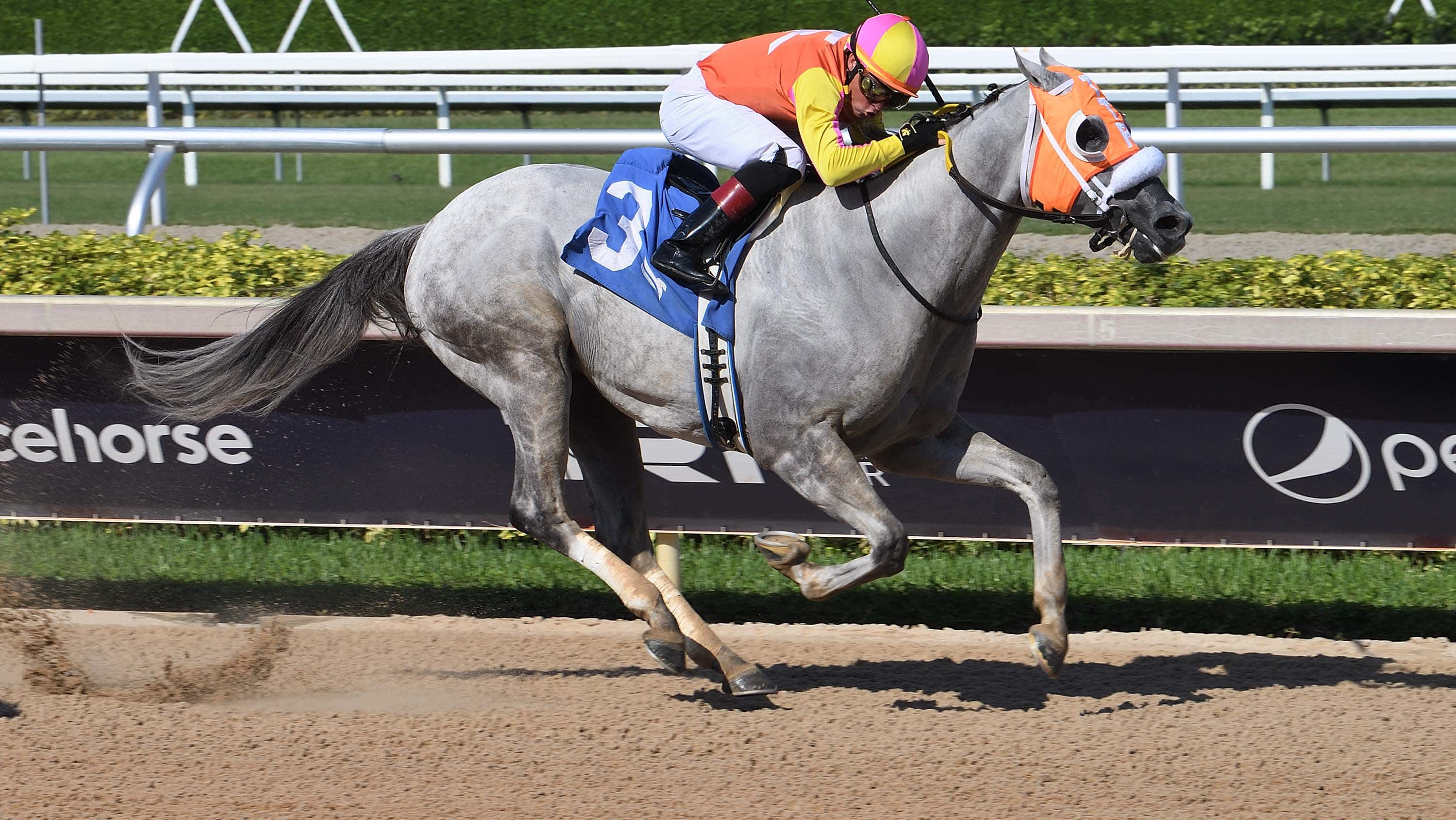 Comedy-Town-the-Smile2